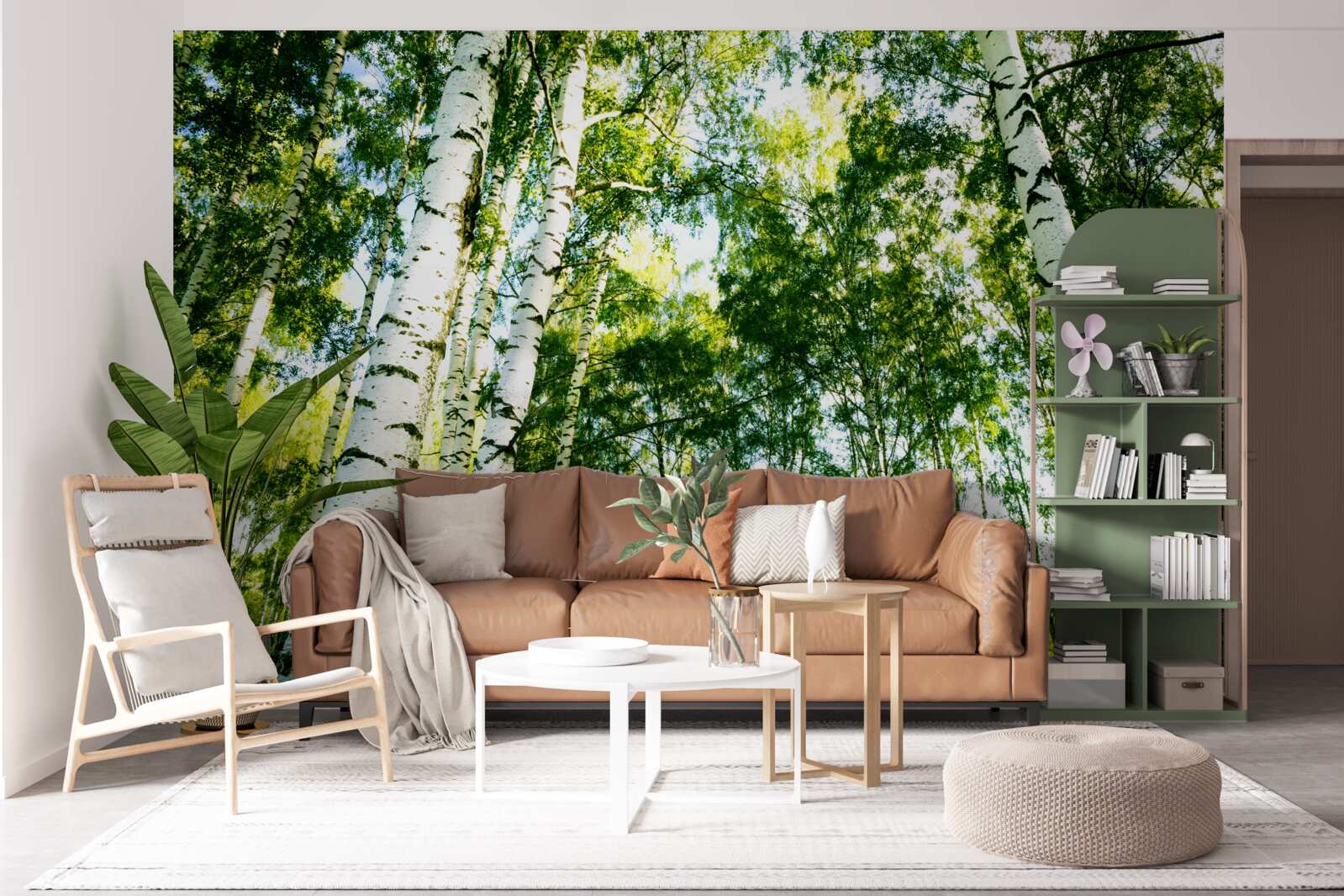 Fototapet pădure de mesteceni