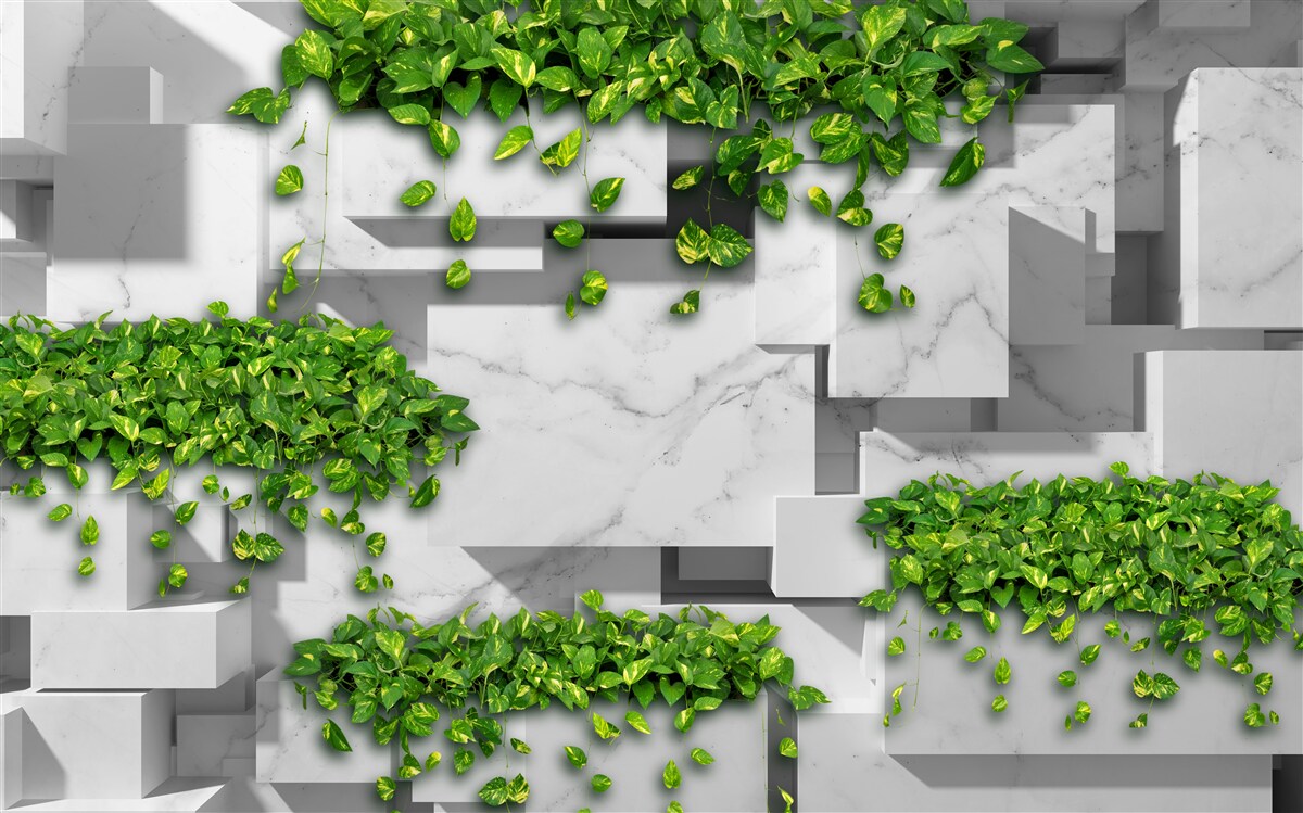 Fototapet oală cu flori, perete verde și plante