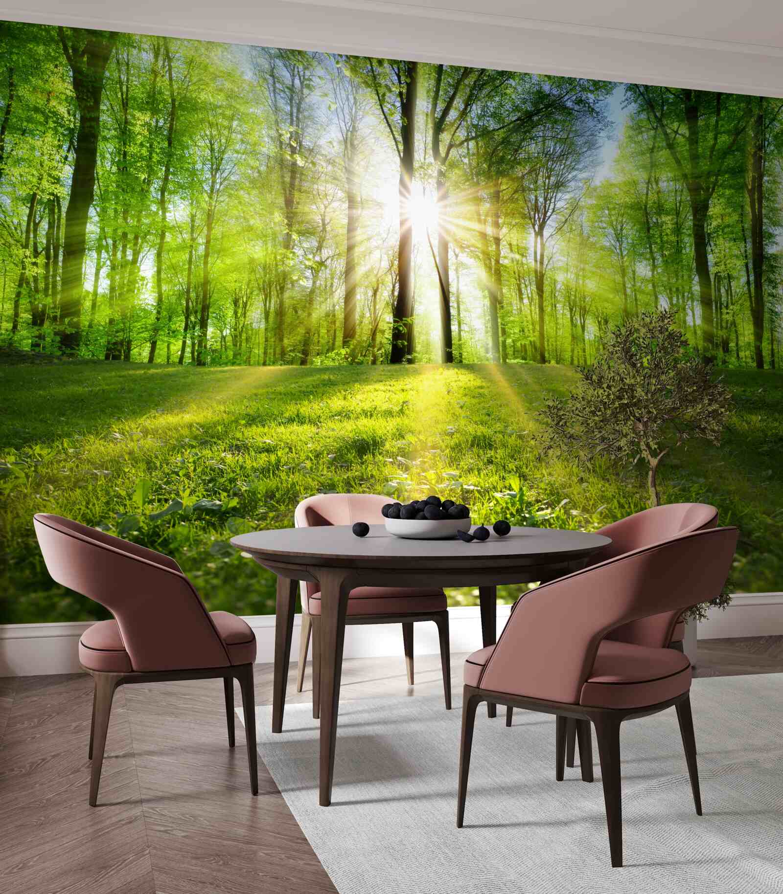 Fototapet razele soarelui pătrund în copaci