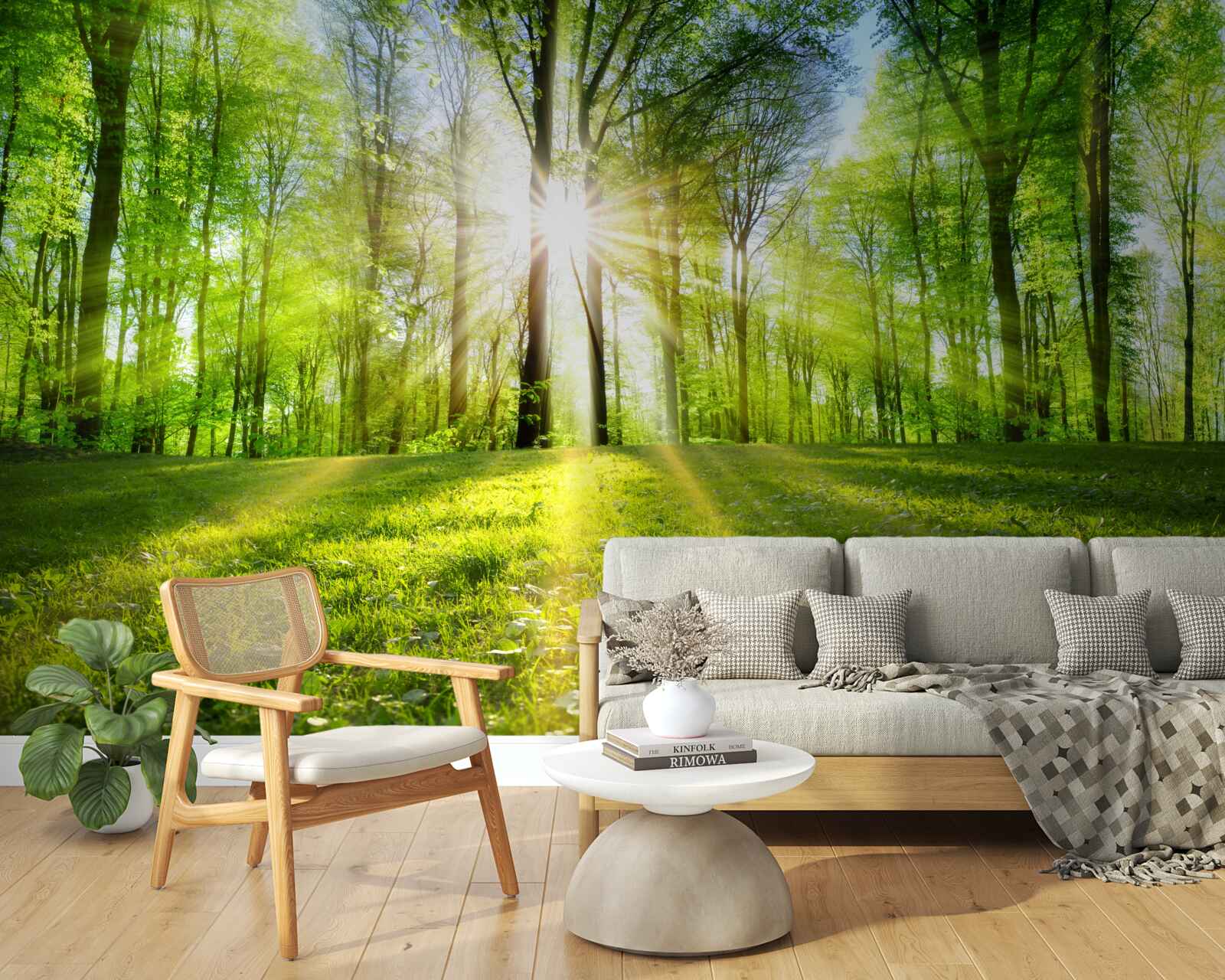 Fototapet razele soarelui pătrund în copaci