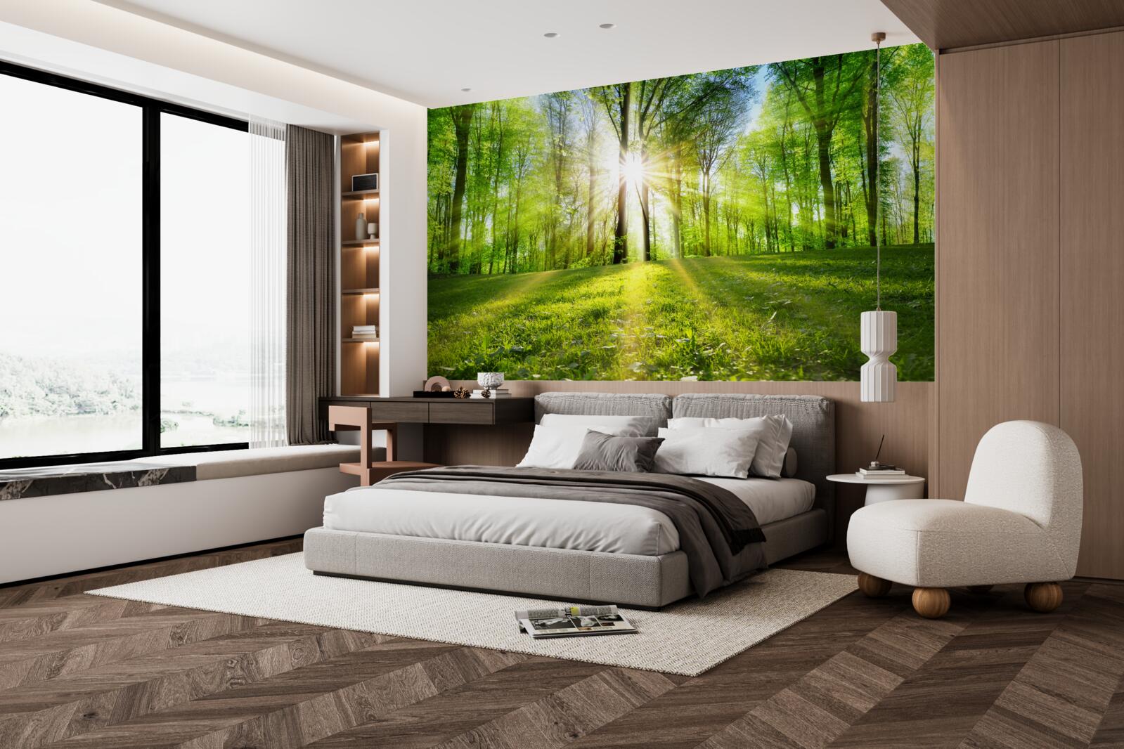 Fototapet razele soarelui pătrund în copaci