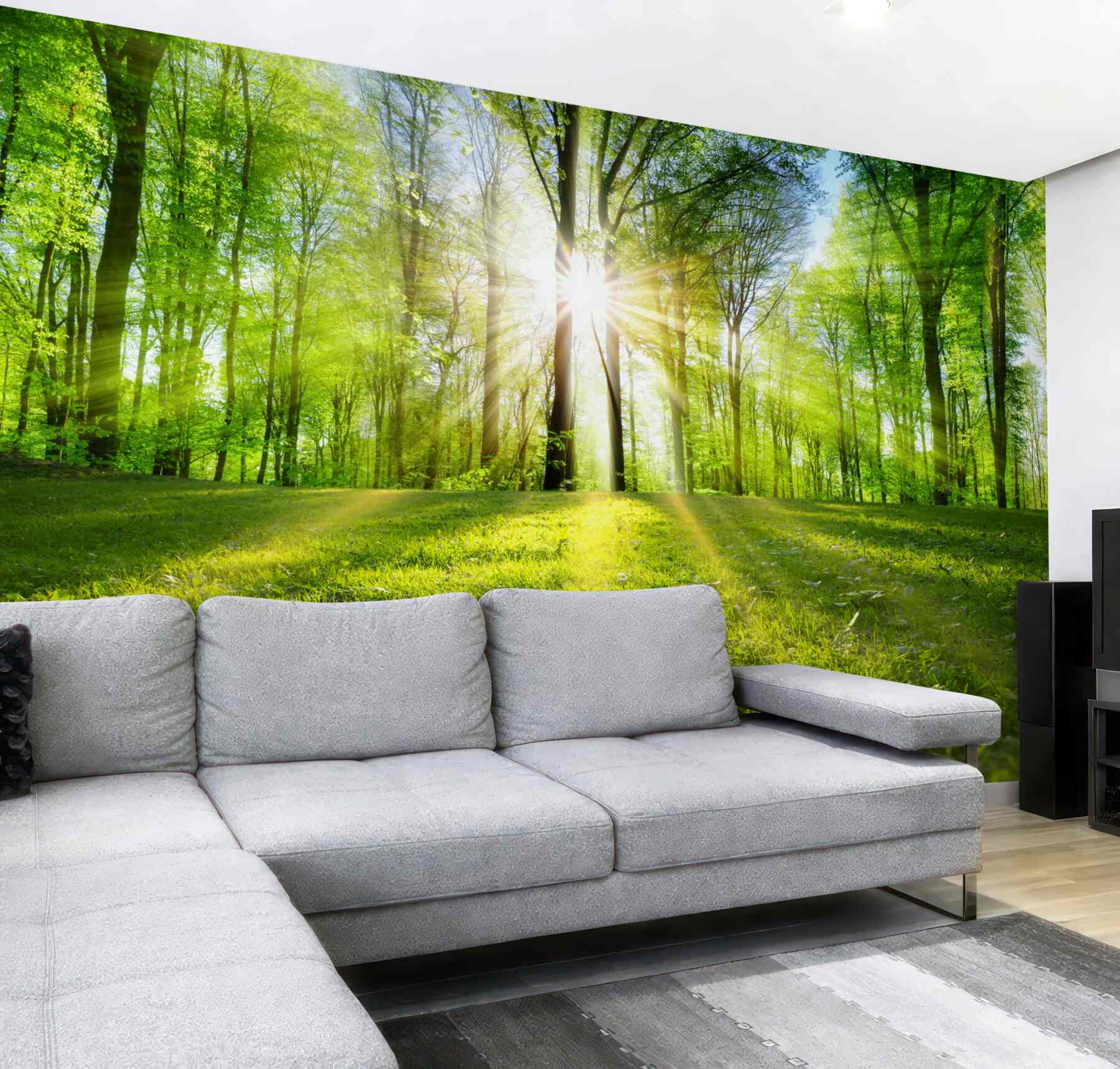 Fototapeta promienie słońca przenikają przez drzewa
