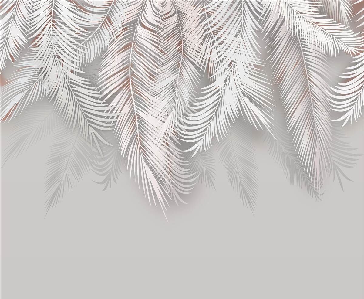 Fototapet frunze de palmier gri deschis