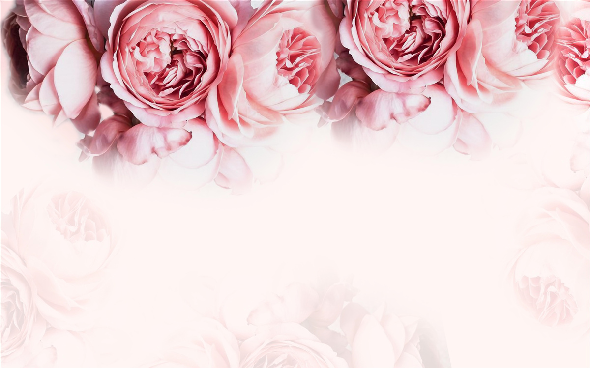 Fototapet bujori în roz și alb pe un fundal deschis