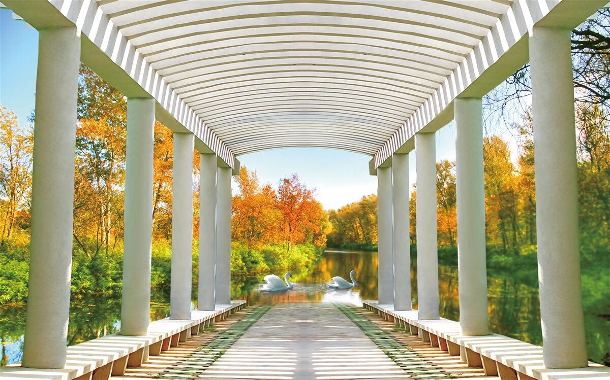 Fototapet pădure în decor de toamnă pe un fundal panoramic