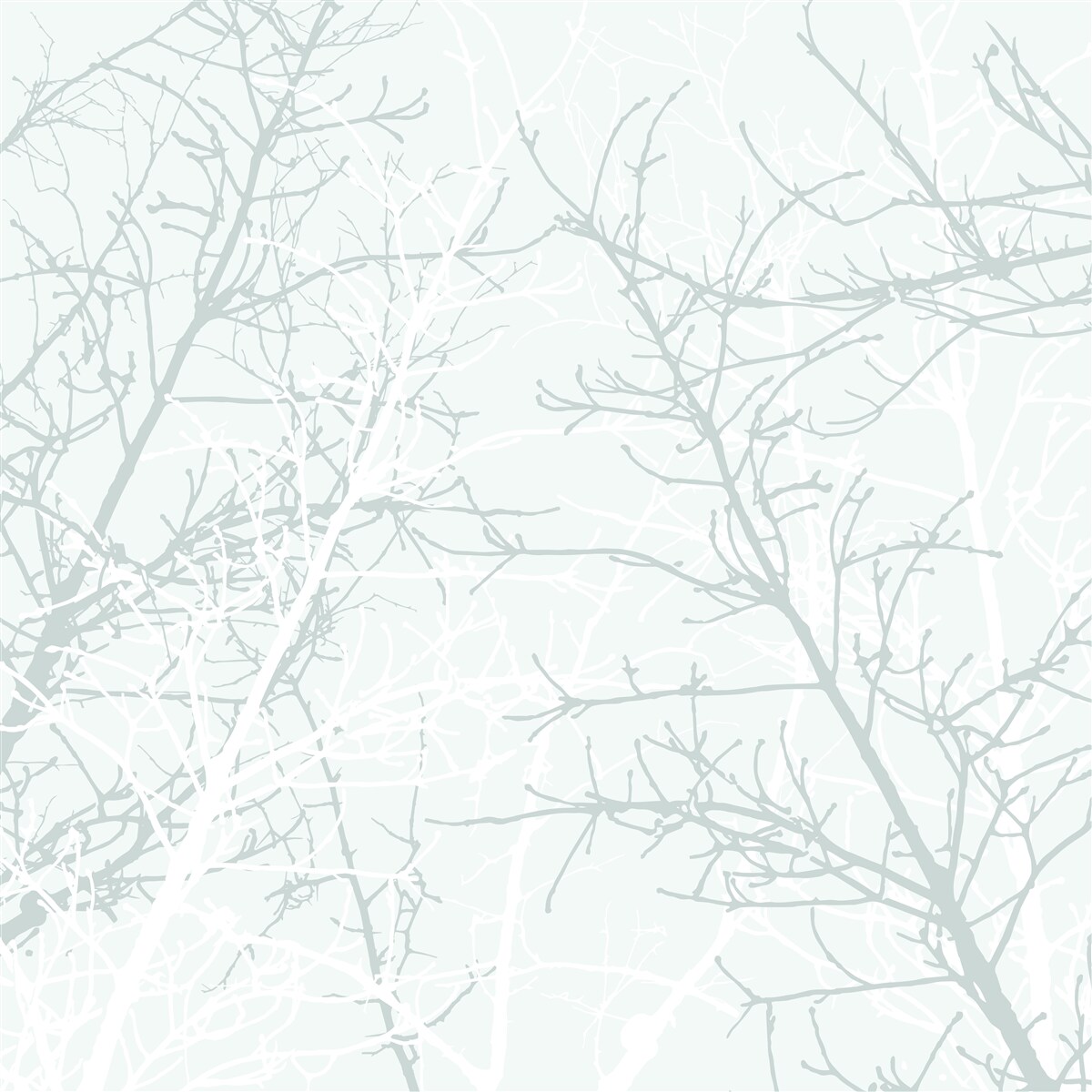 Fototapet ramuri subțiri de copaci toamna