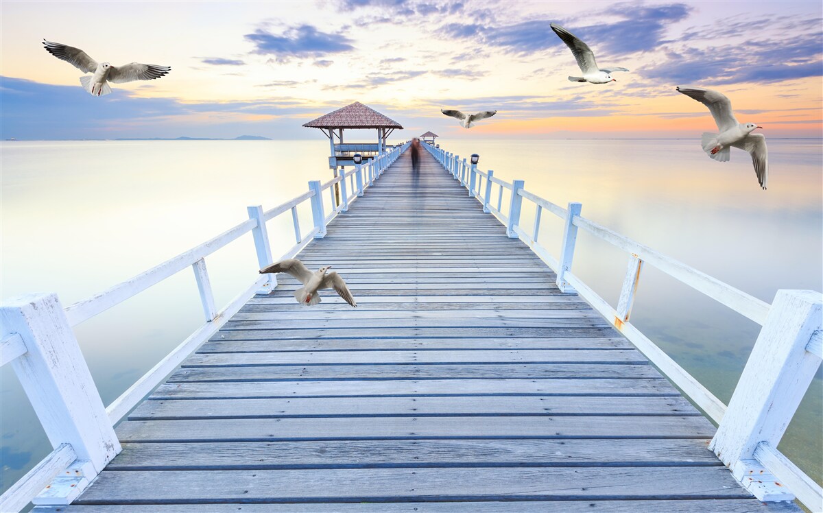 Fototapet chei de lemn și pescăruși care trec