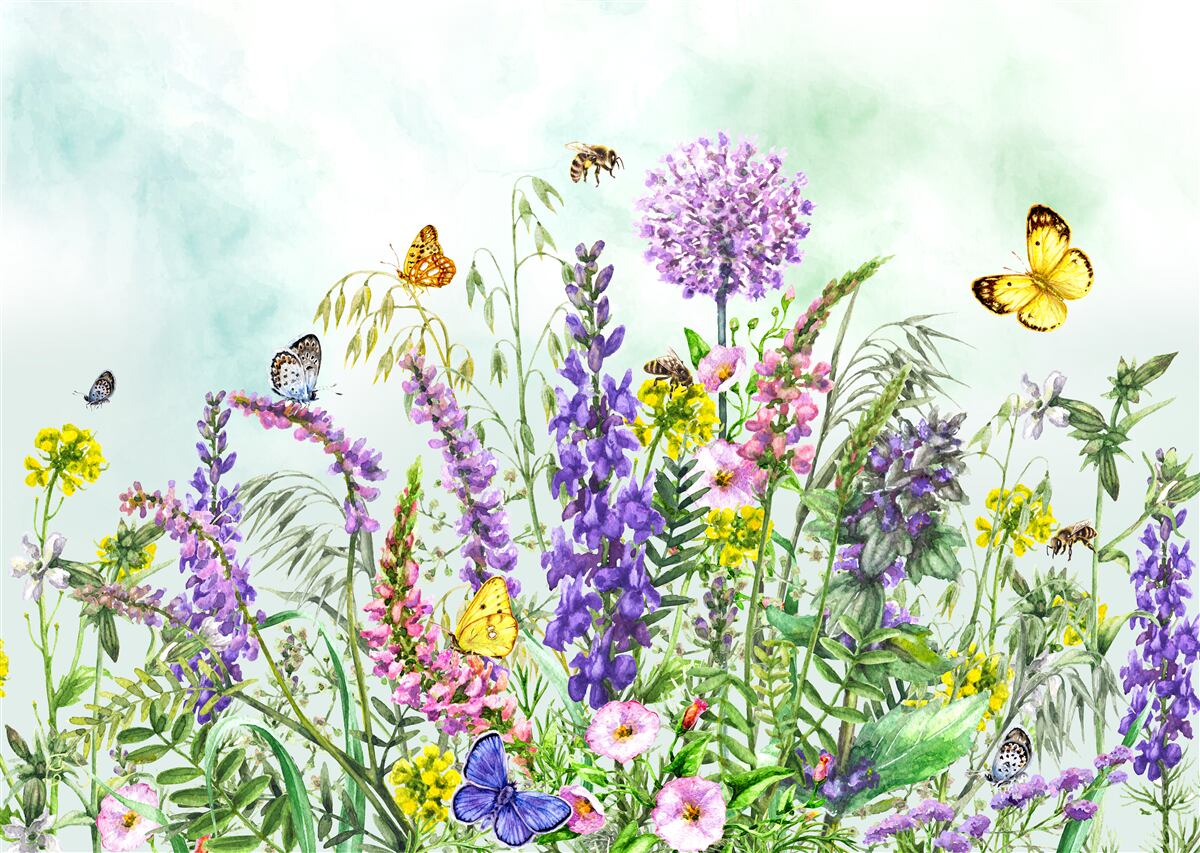 Fototapet plante de pajiște în timpul verii sub un cer senin