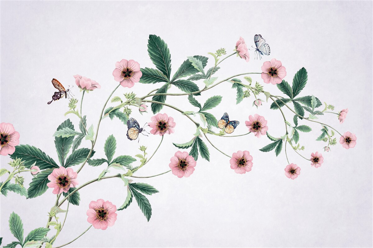 Fototapet muguri roz pe ramuri pe un fundal gri