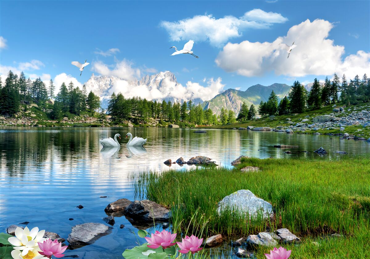 Fototapet zi de vară lacuri calme în munți