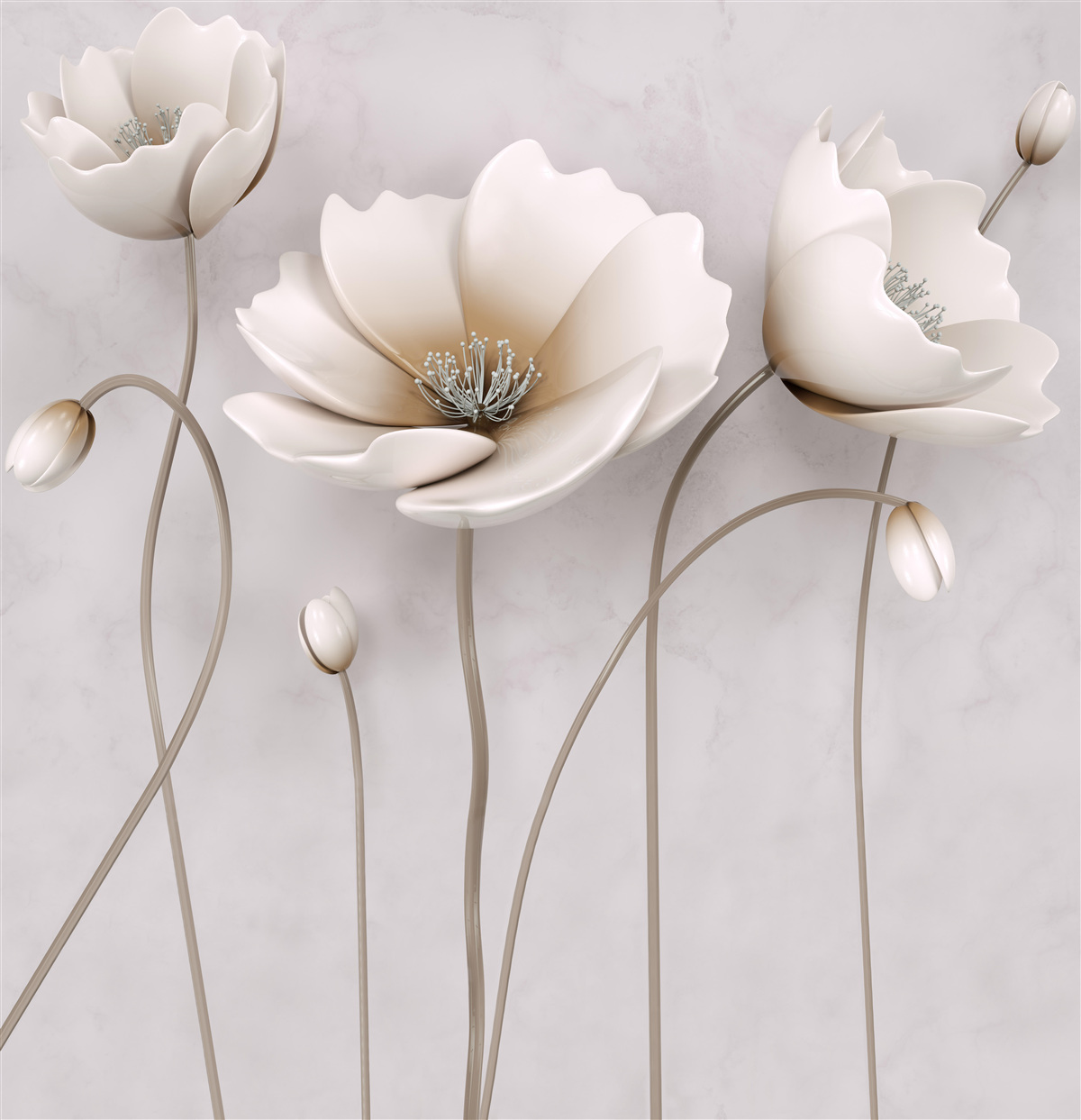 Fototapet maci ușori grațioși