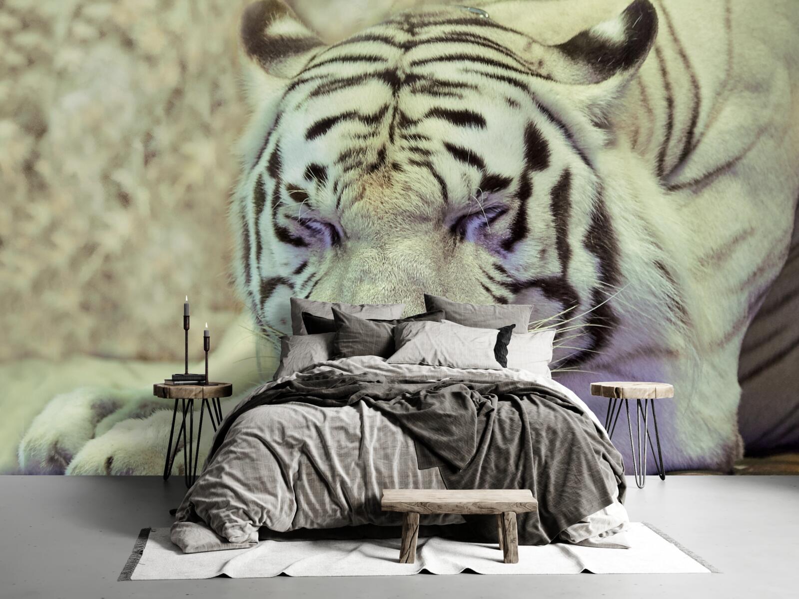 Fototapet tigru alb în stare de vis