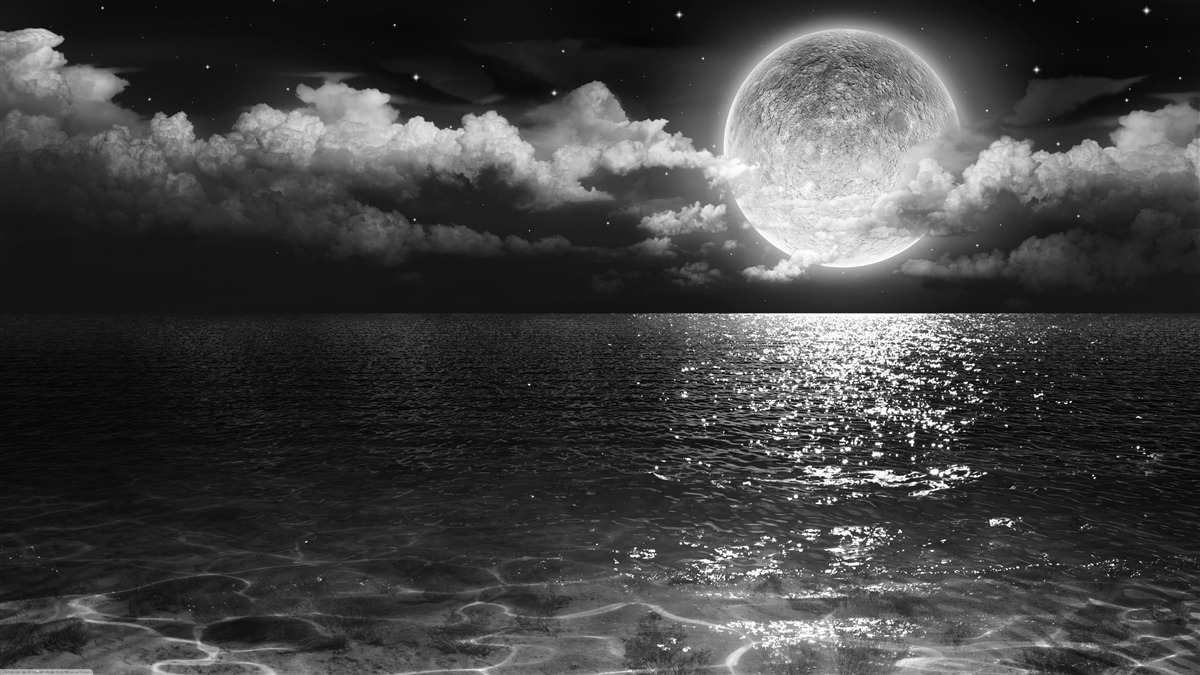 Fototapet țărm calm noaptea