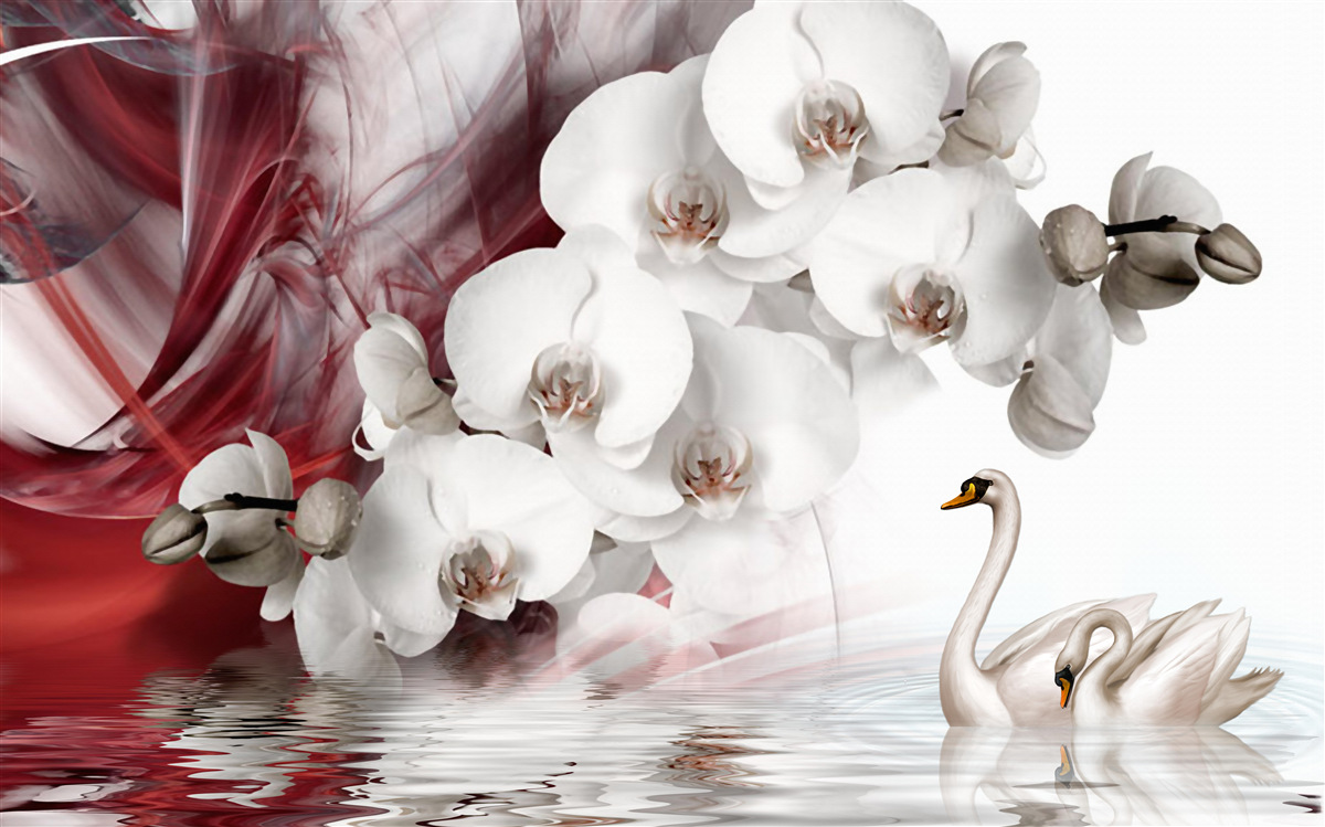 Fototapet orhidee cu muguri albi lângă un iaz cu lebede