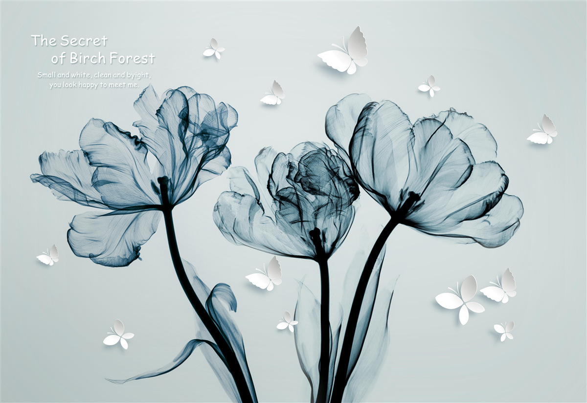 Fototapet maci delicați și fluturi ușori