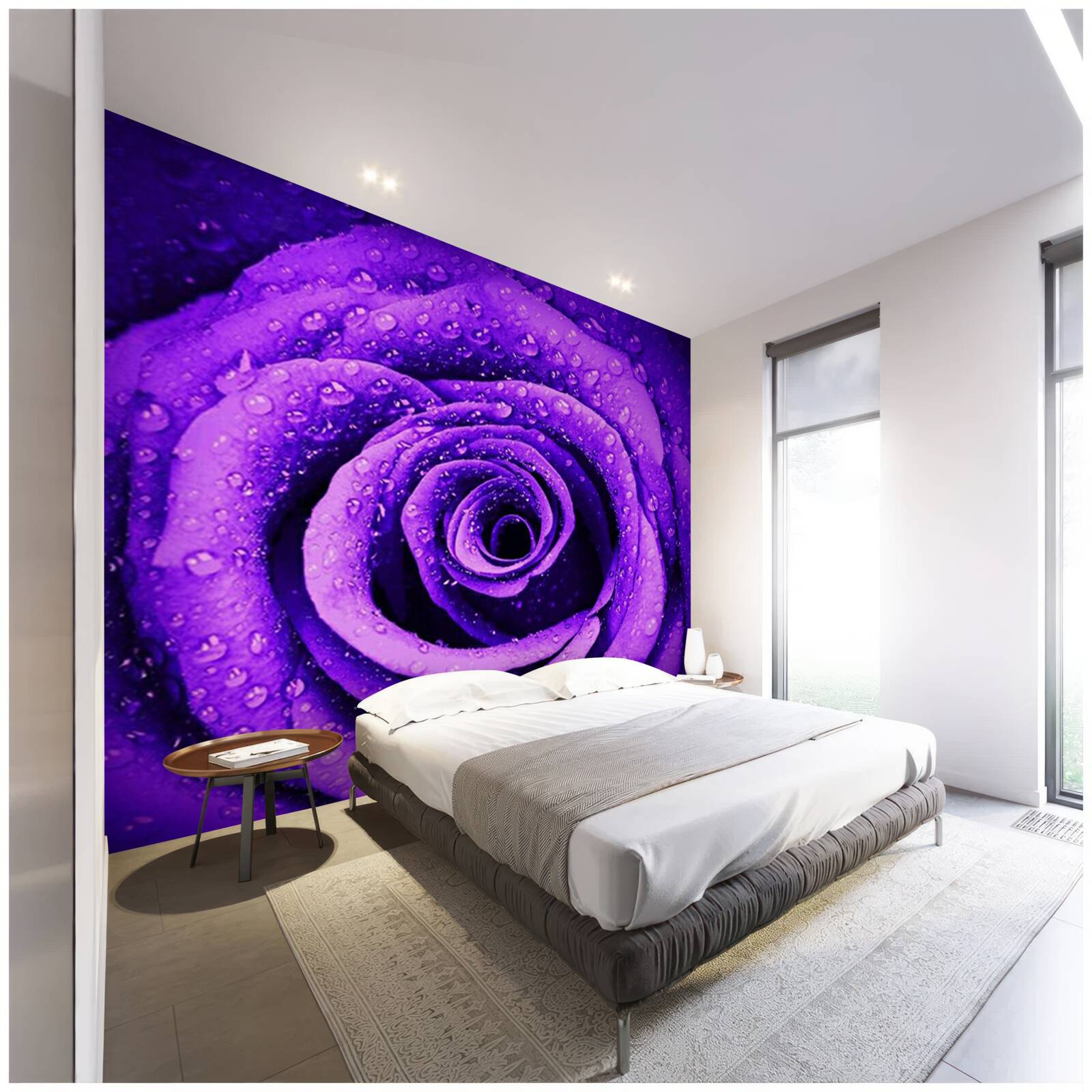 Fototapet o vedere de aproape a unui trandafir violet acoperit cu picături de ploaie