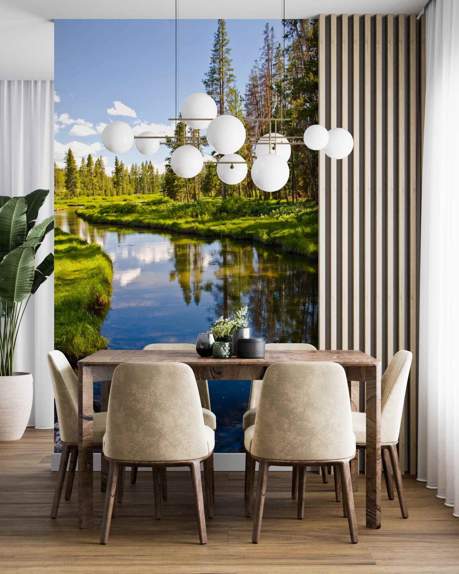 Fototapet pârâu forestier printre conifere în timpul verii