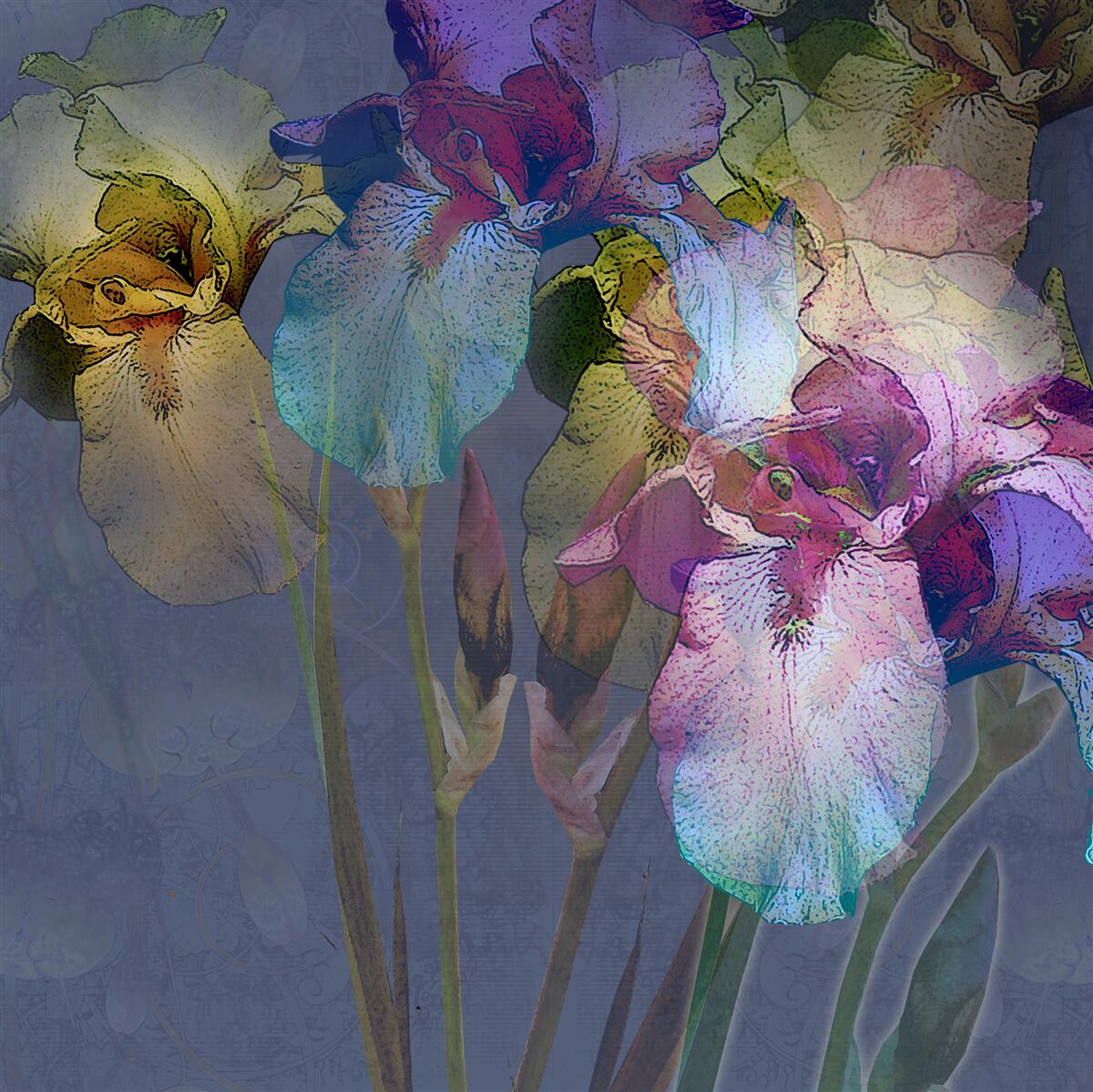 Fototapet atmosferă nocturnă în mijlocul frunzișului tropical