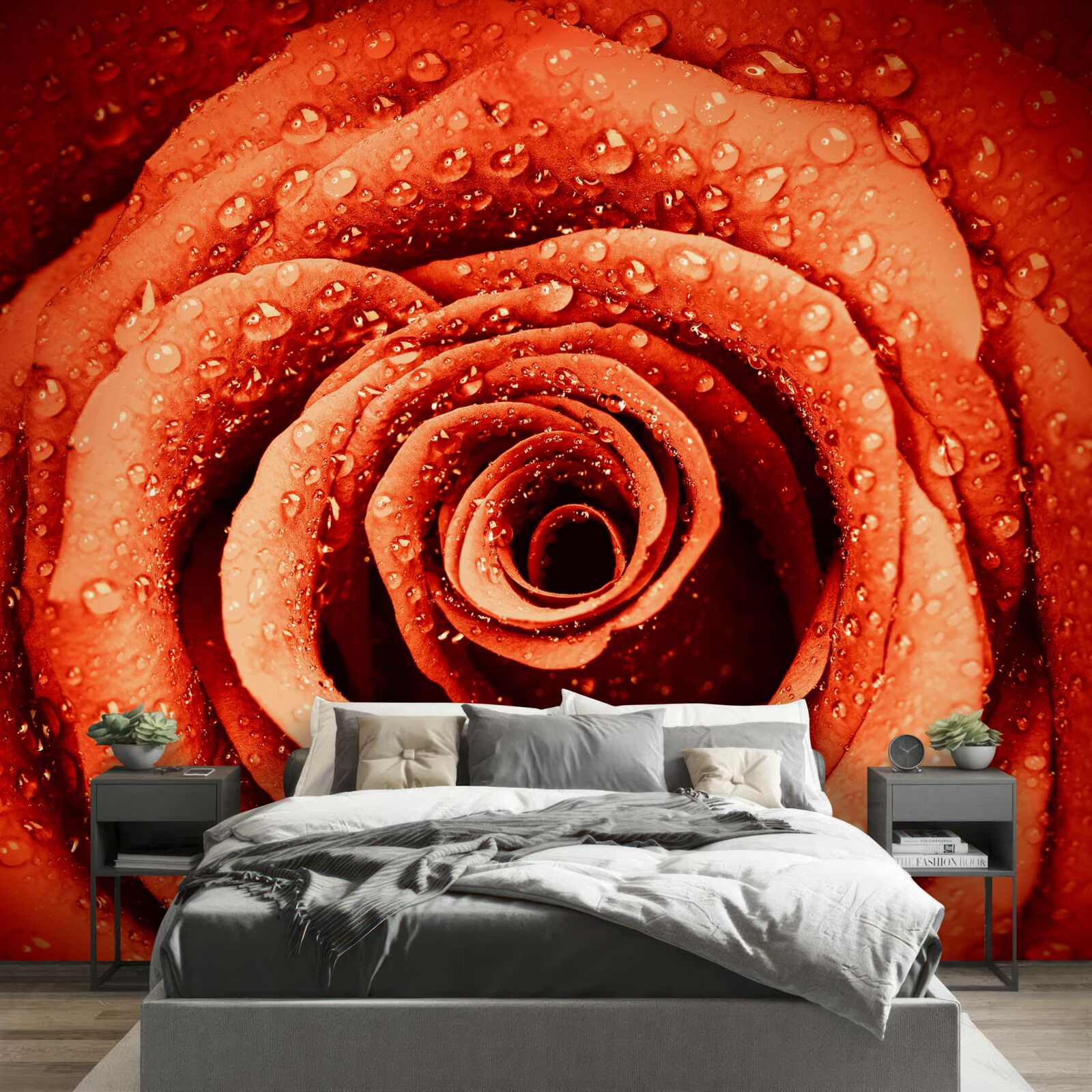 Fototapet picături de rouă pe o petală de trandafir stacojiu