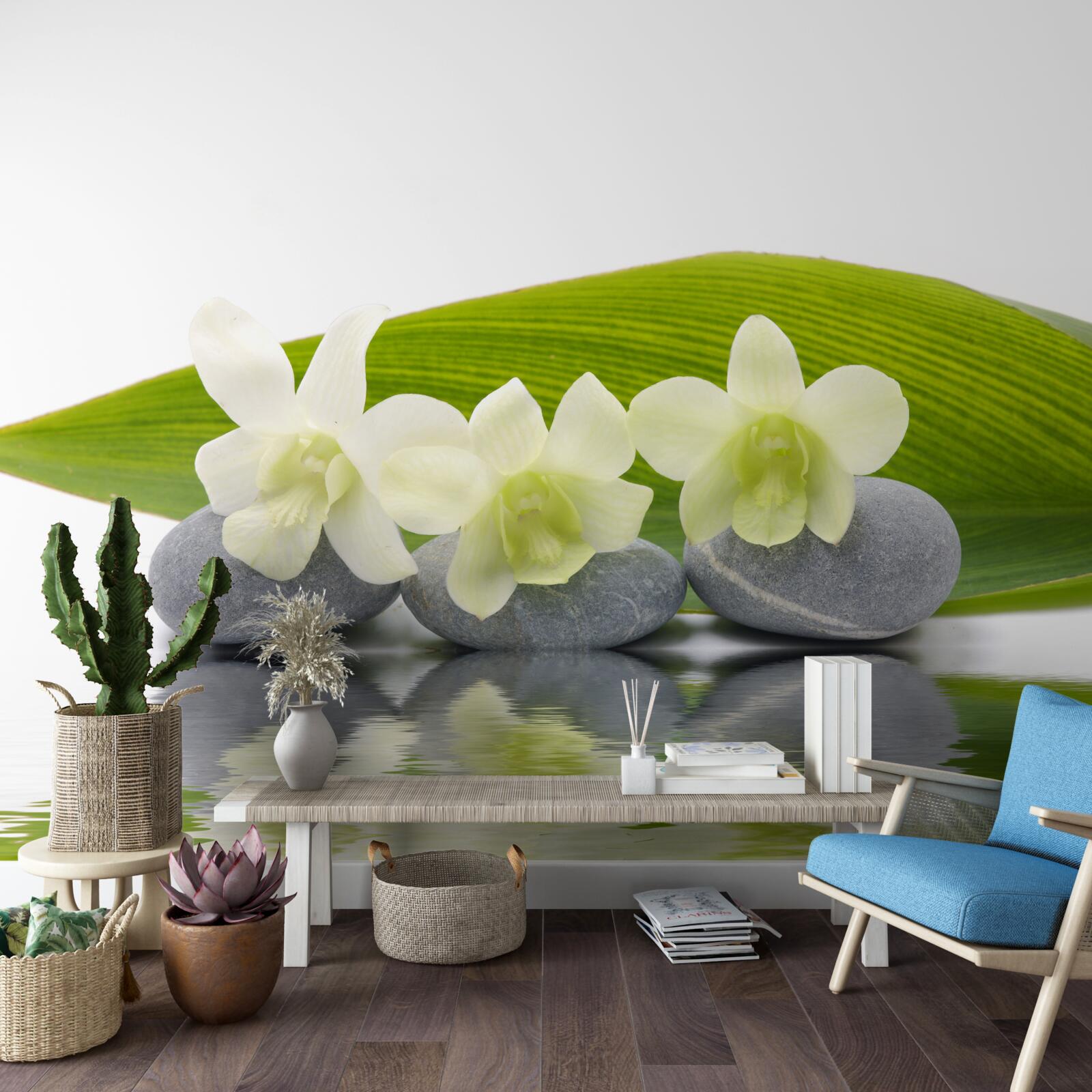 Fototapet linie pe suprafața apei