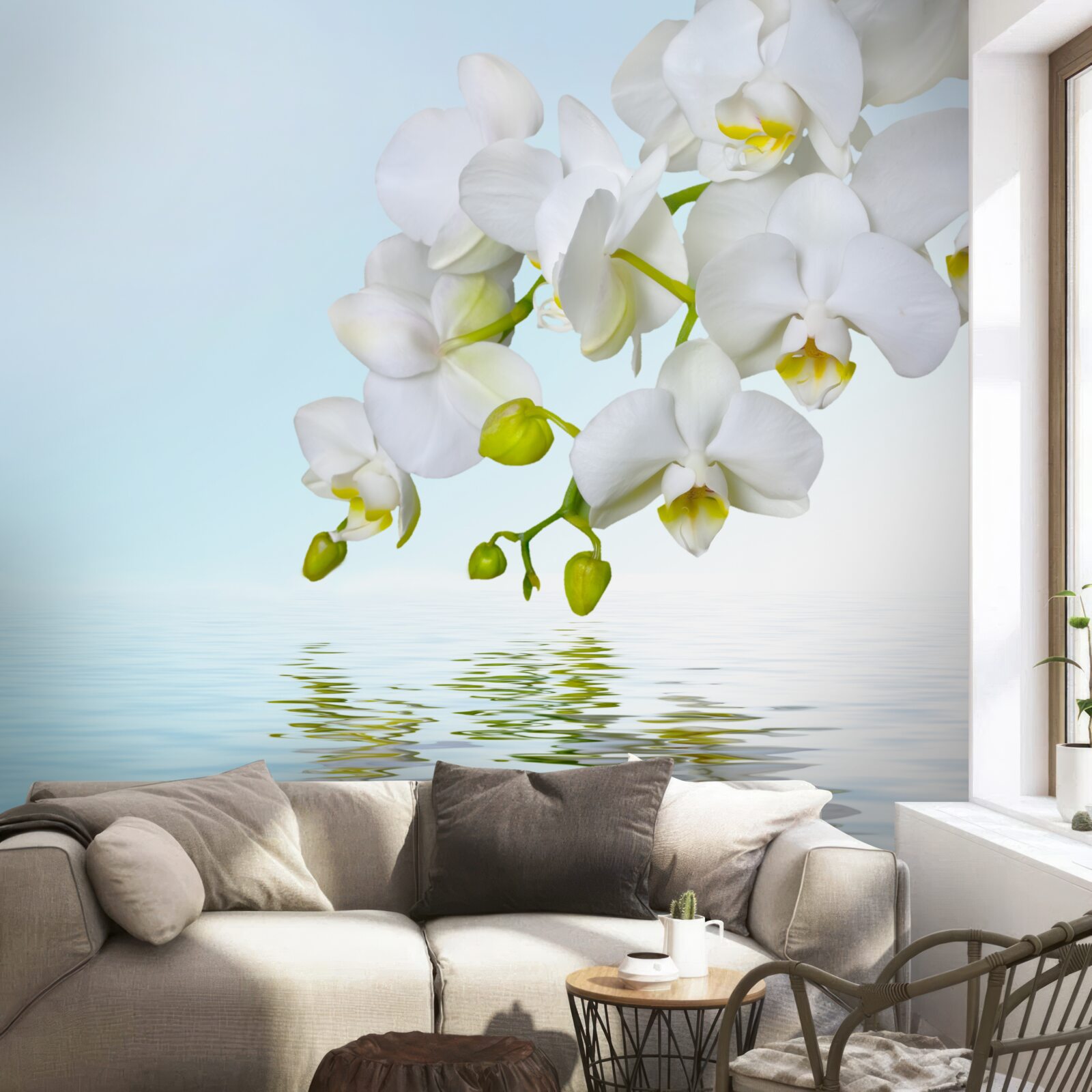 Fototapet ramură de orhidee albă lângă apă calmă