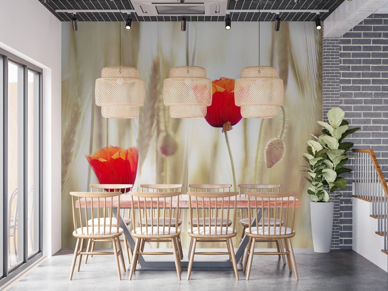 Fototapet maci roșii cresc într-un lan de grâu