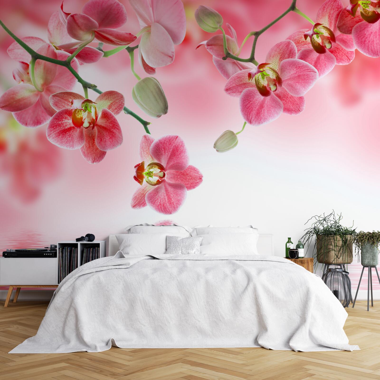 Fototapet o orhidee roșie atârnă pe un copac deasupra apei