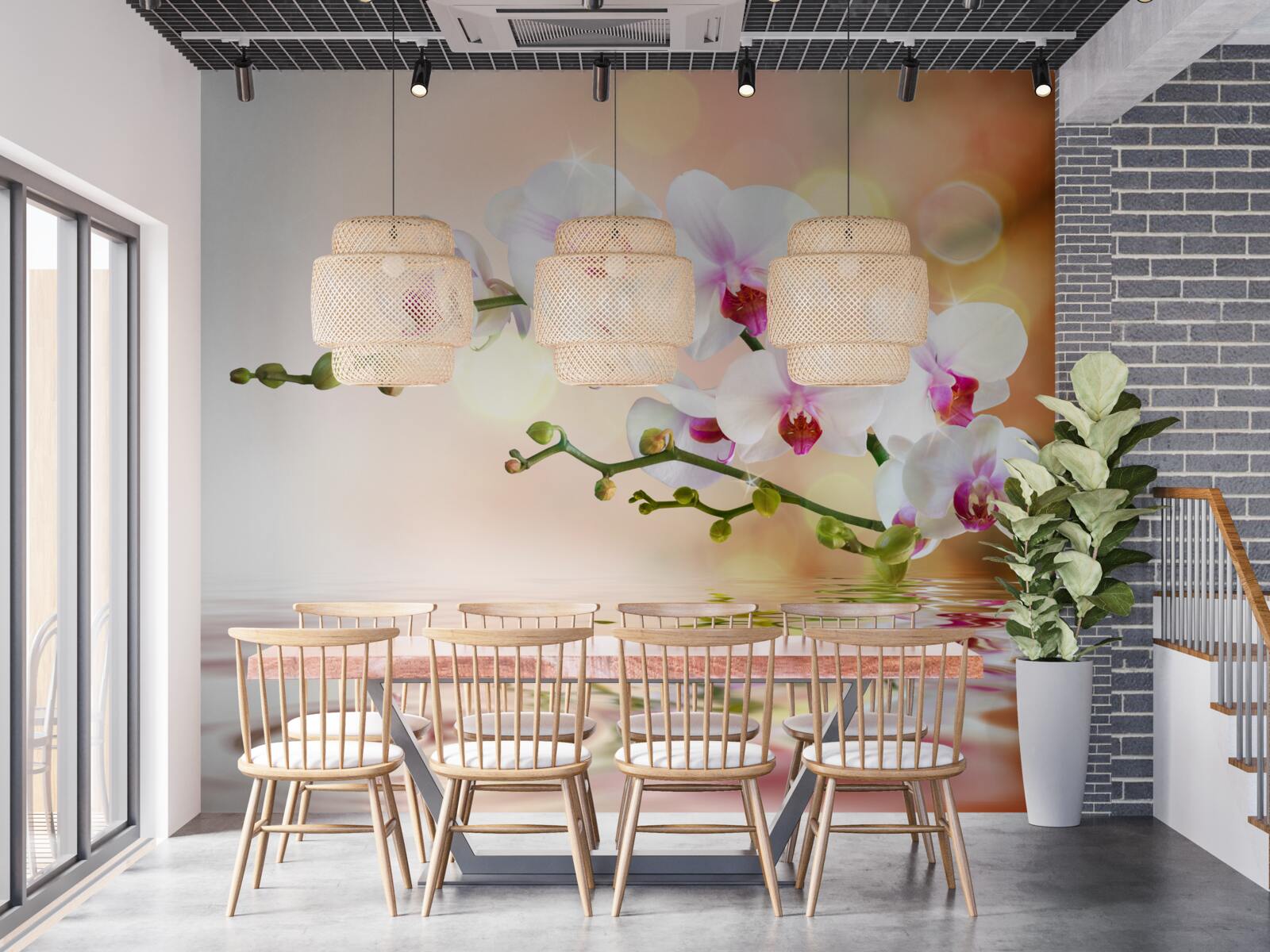 Fototapet ramură de orhidee albă reflectată în apă