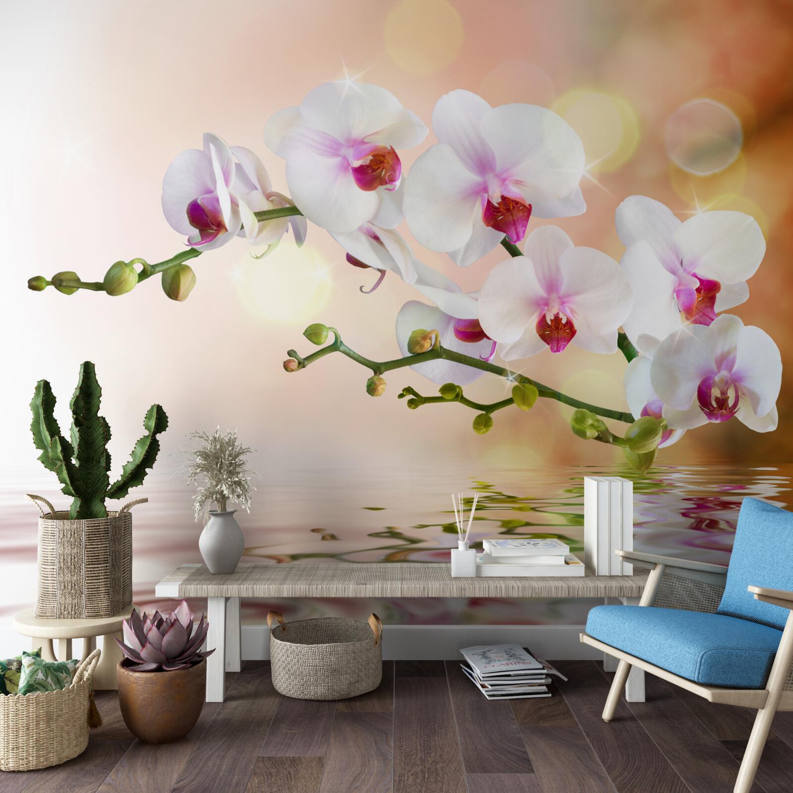 Fototapet ramură de orhidee albă reflectată în apă