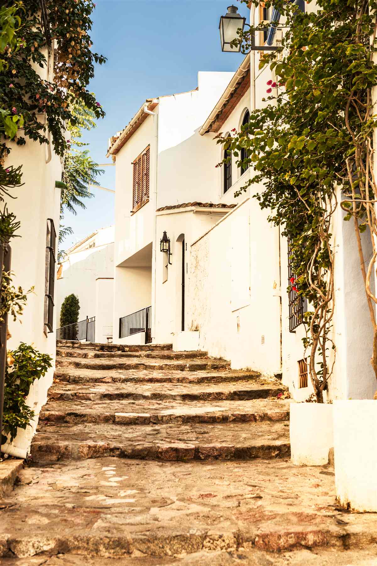 Fototapet verdeață pe o stradă antică din grecia