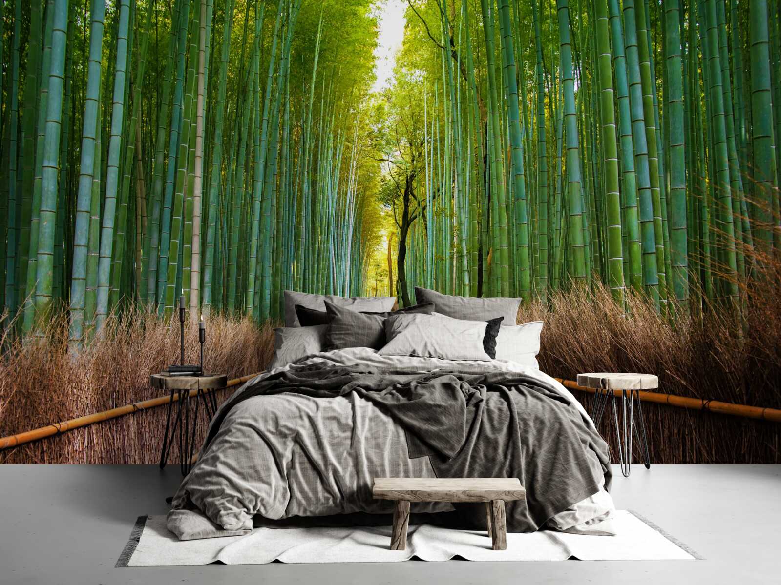 Fototapet o livadă grațioasă de bambus cu o potecă