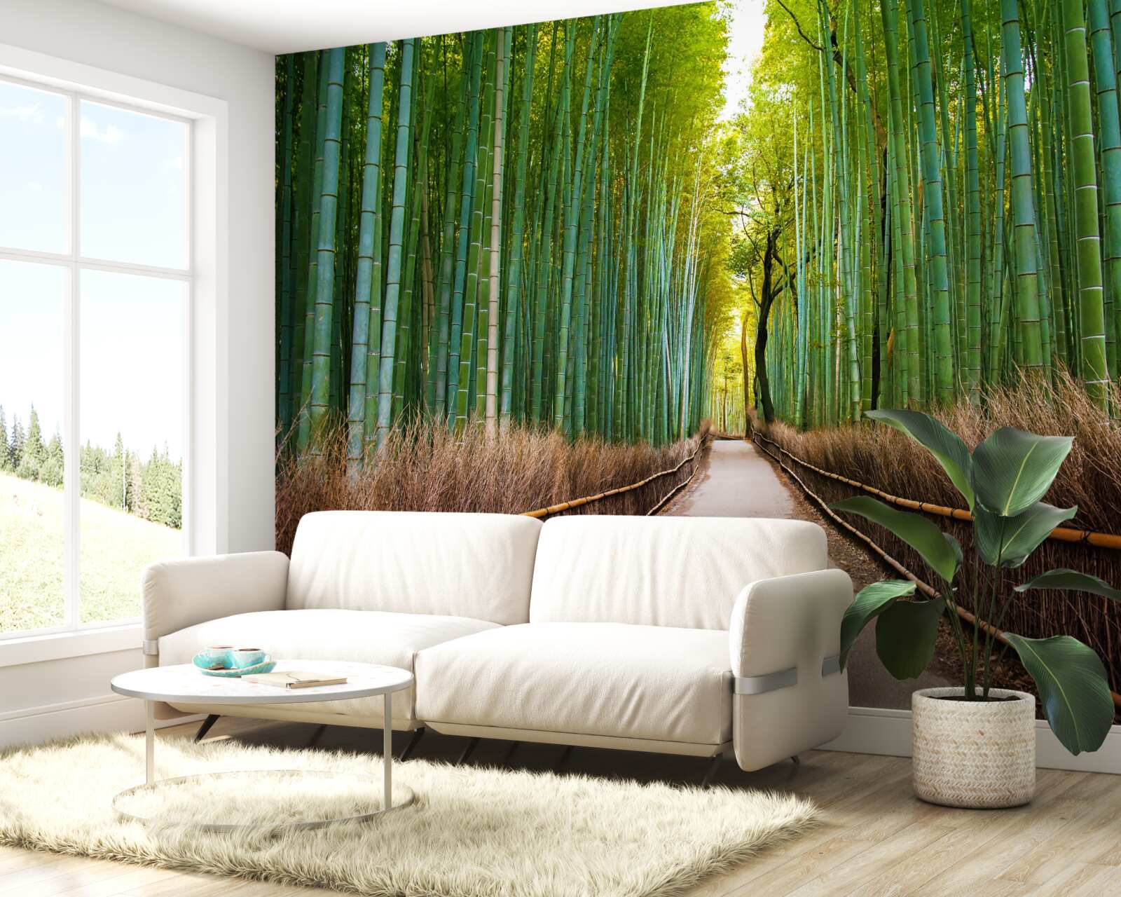 Fototapet o livadă grațioasă de bambus cu o potecă