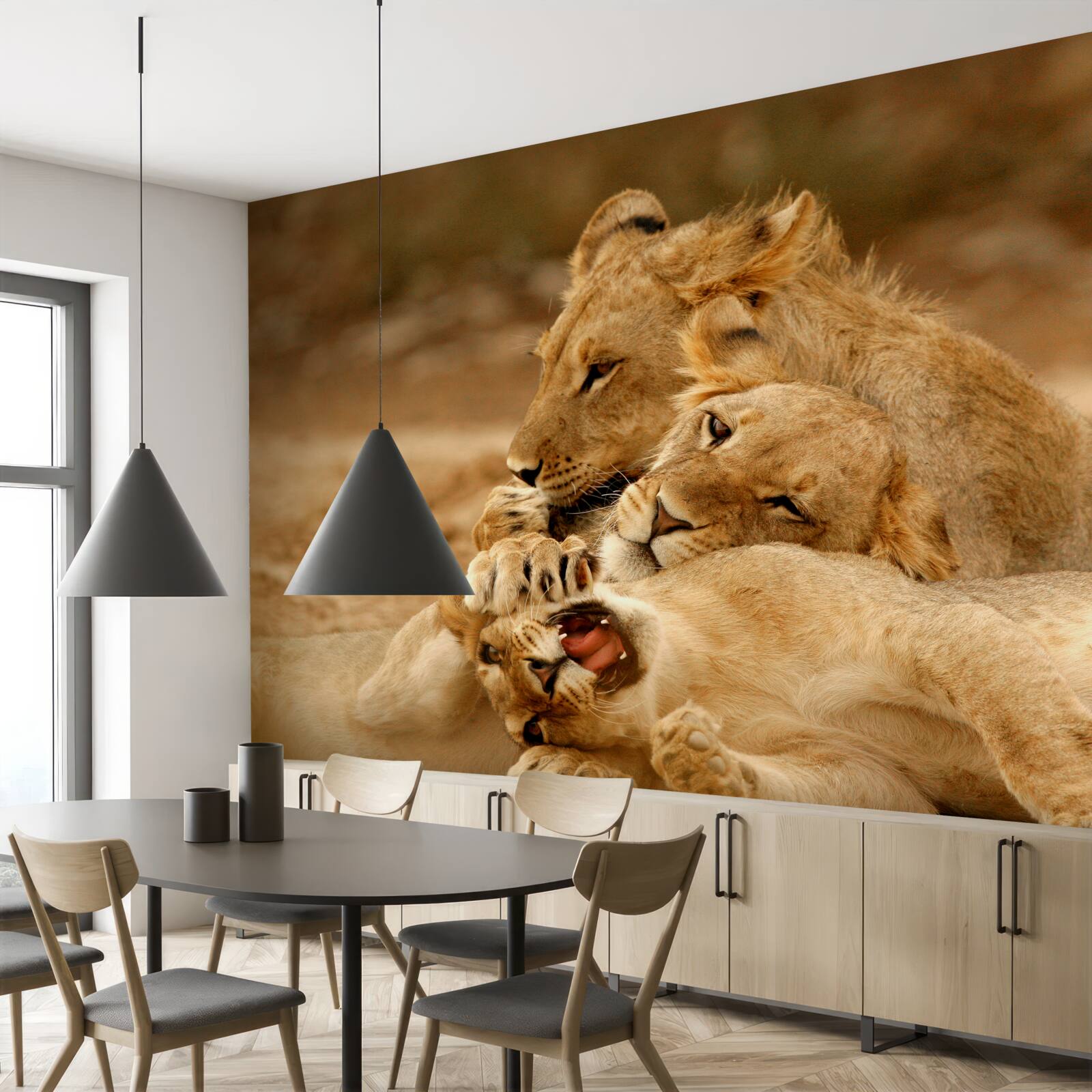 Fototapet o familie de lei s-a așezat pe o suprafață nisipoasă