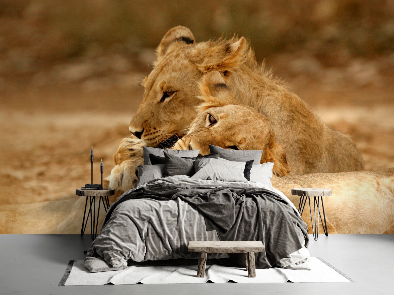 Fototapet o familie de lei s-a așezat pe o suprafață nisipoasă