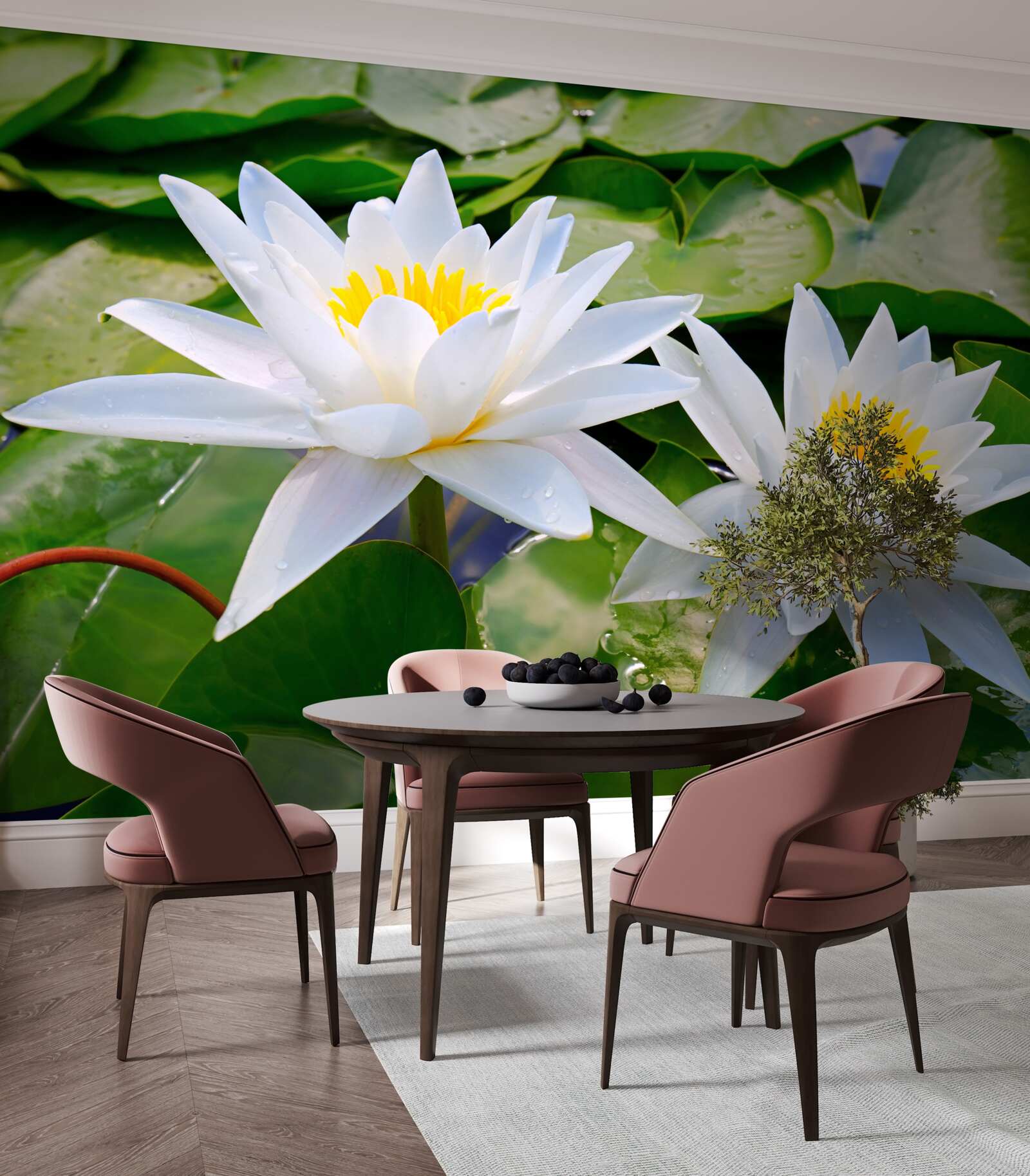 Fototapet nuferi albi printre frunze verzi