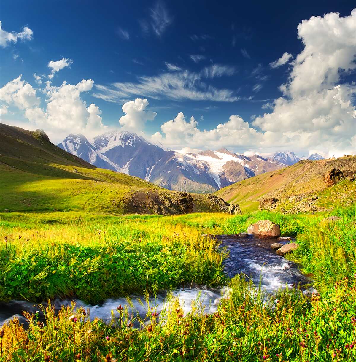 Fototapet un râu de munte care curge printre pajiști