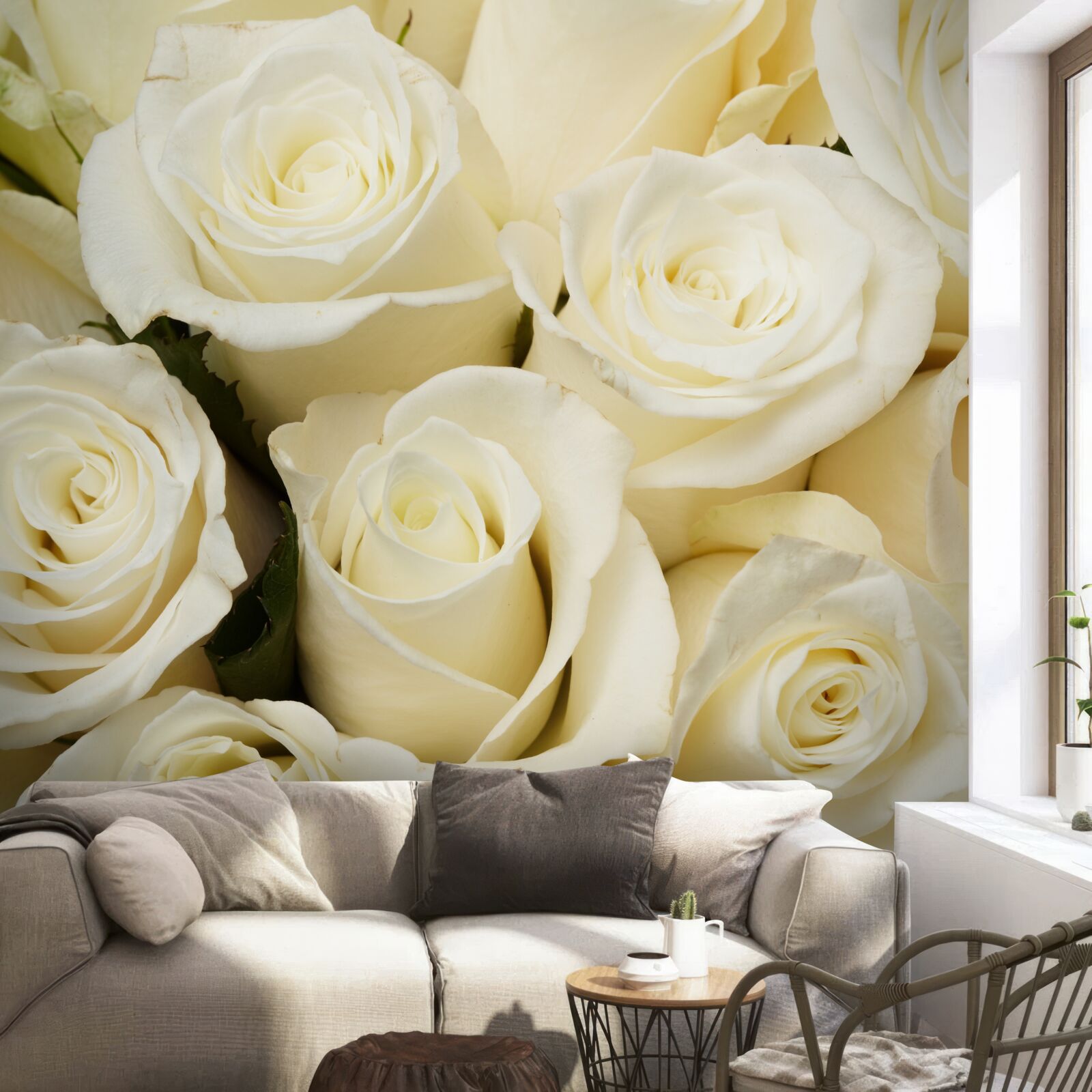 Fototapet muguri delicați și rafinați de trandafir alb ca zăpada