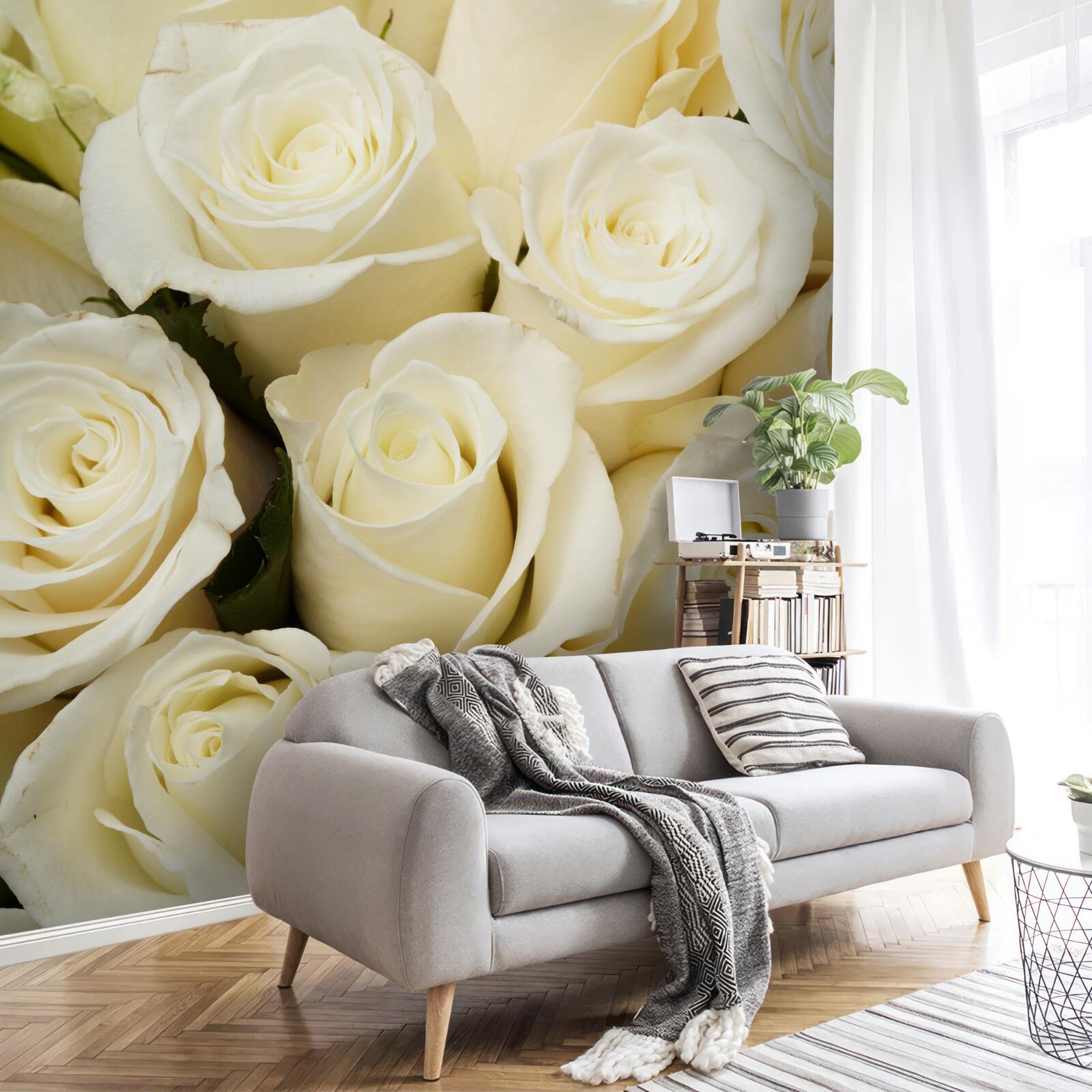 Fototapet muguri delicați și rafinați de trandafir alb ca zăpada