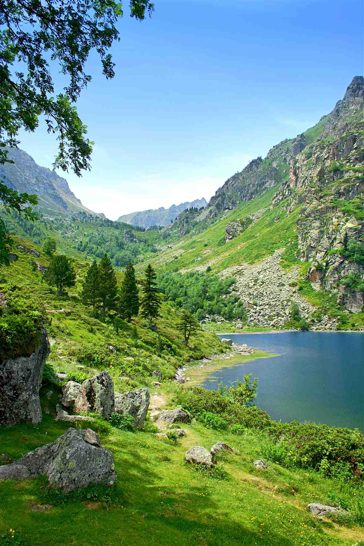 Fototapet un lac înconjurat de munți și verdeață