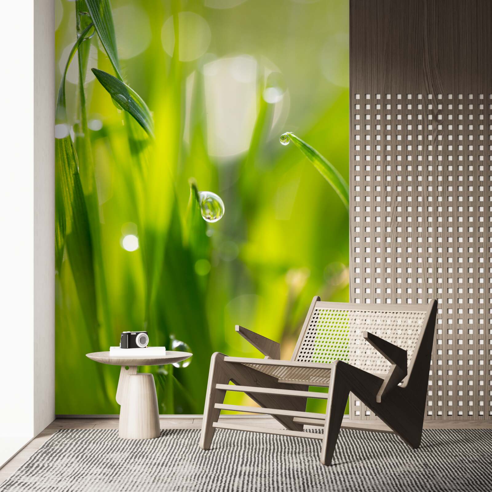 Fototapet roua dimineții cade pe iarbă