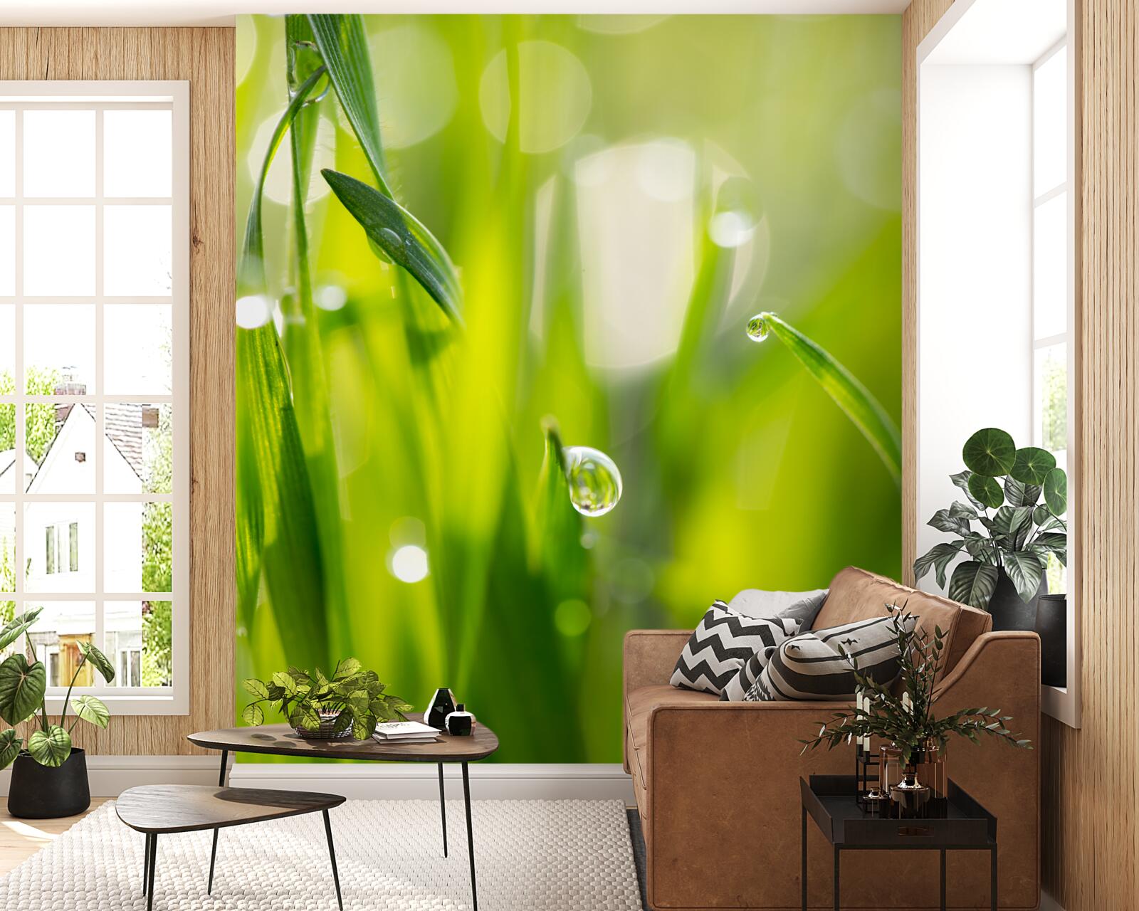 Fototapet roua dimineții cade pe iarbă