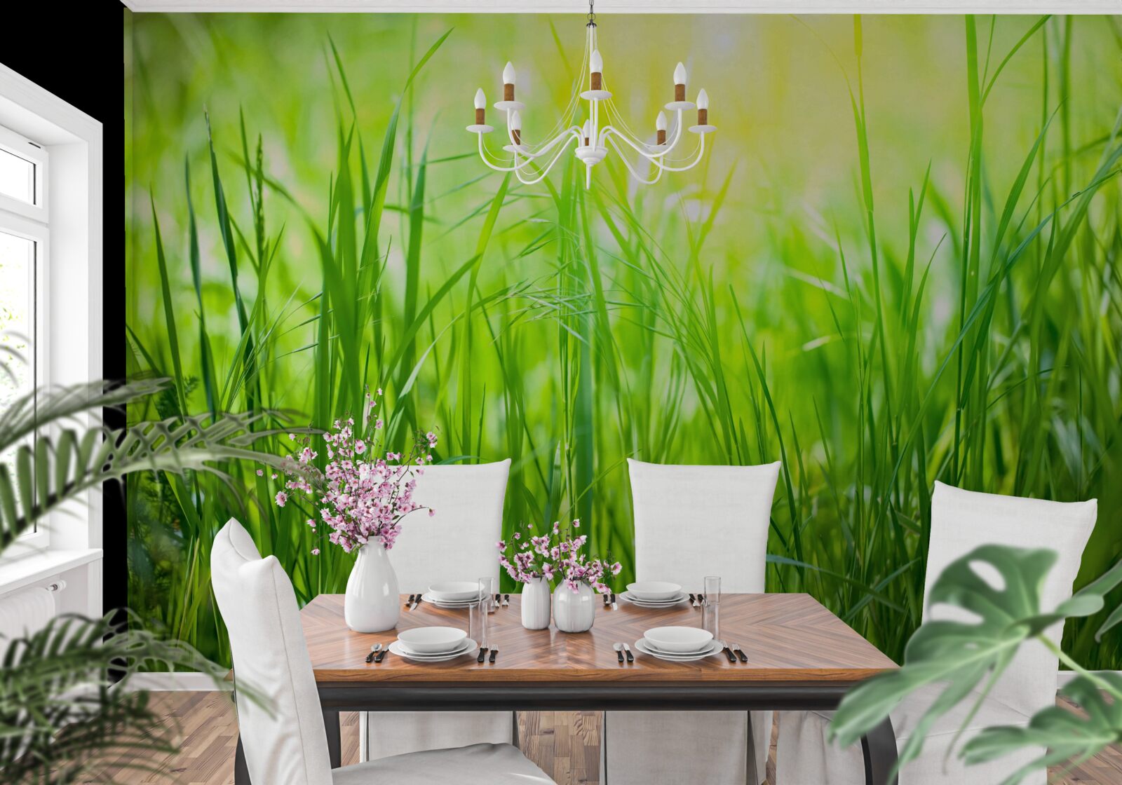 Fototapet roua dimineții cade în lumina soarelui