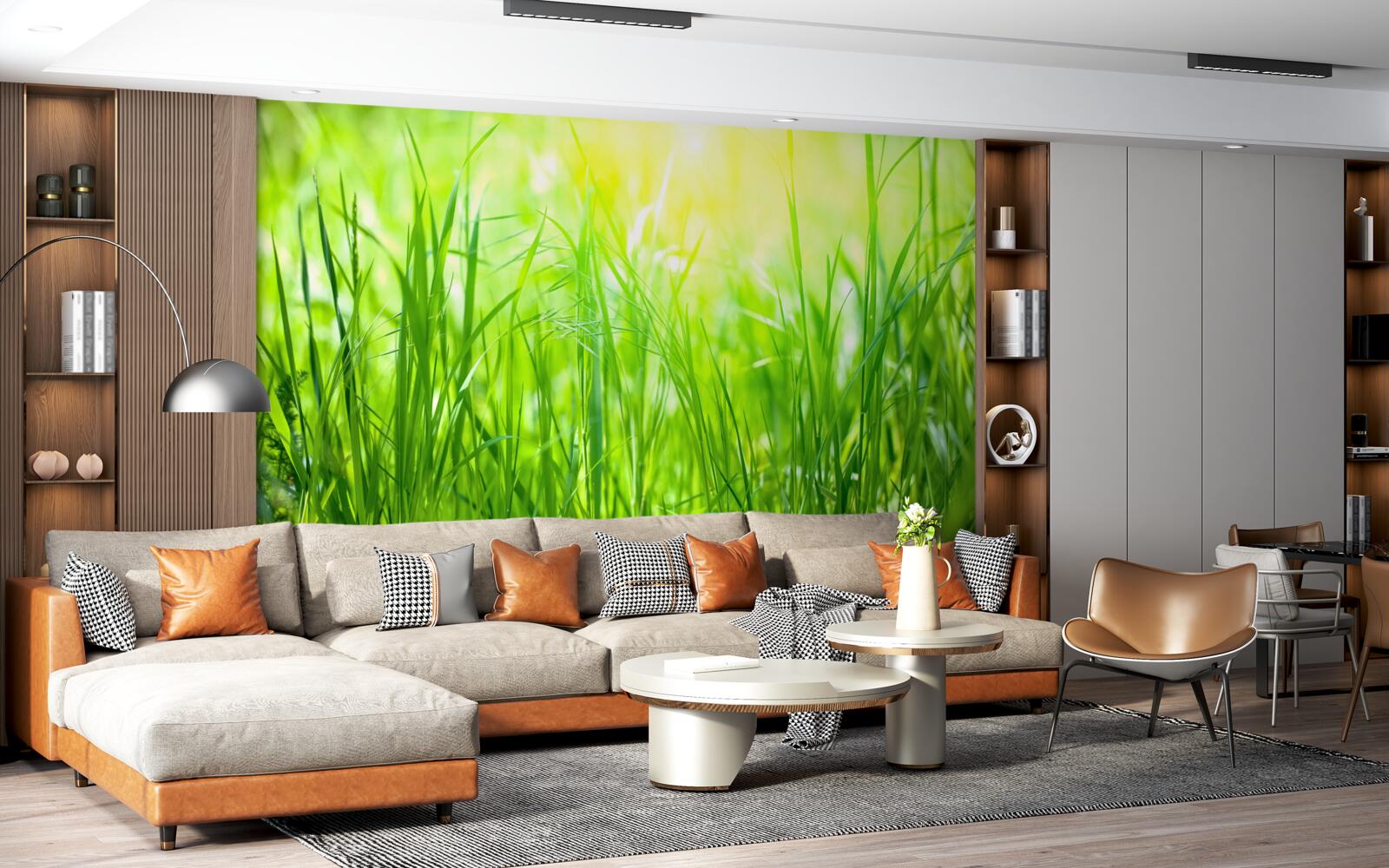 Fototapet roua dimineții cade în lumina soarelui