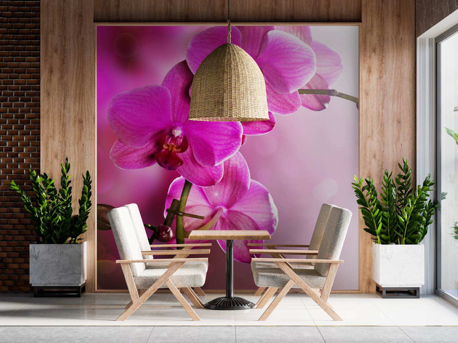 Fototapet o ramură grațioasă a unei orhidee liliac în lumina soarelui