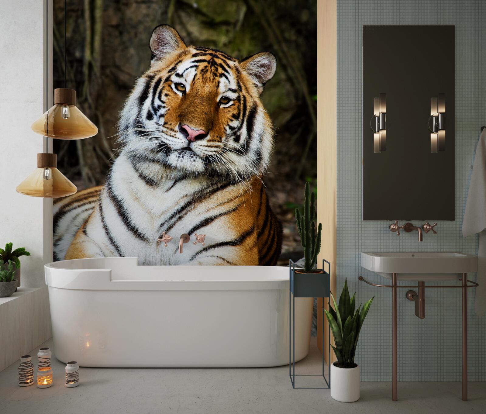 Fototapet tigru mare în vacanță