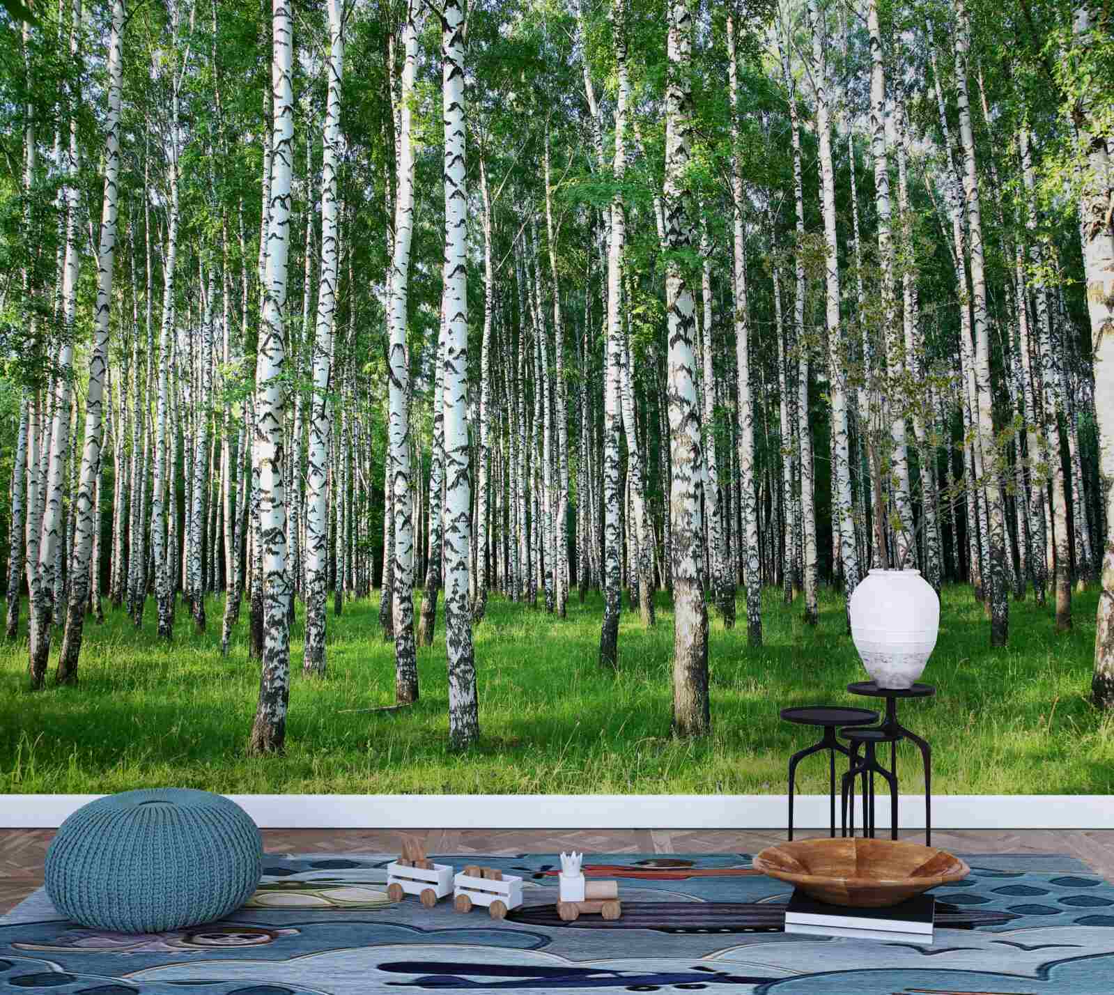 Fototapet mesteacăn subțire în decor de vară