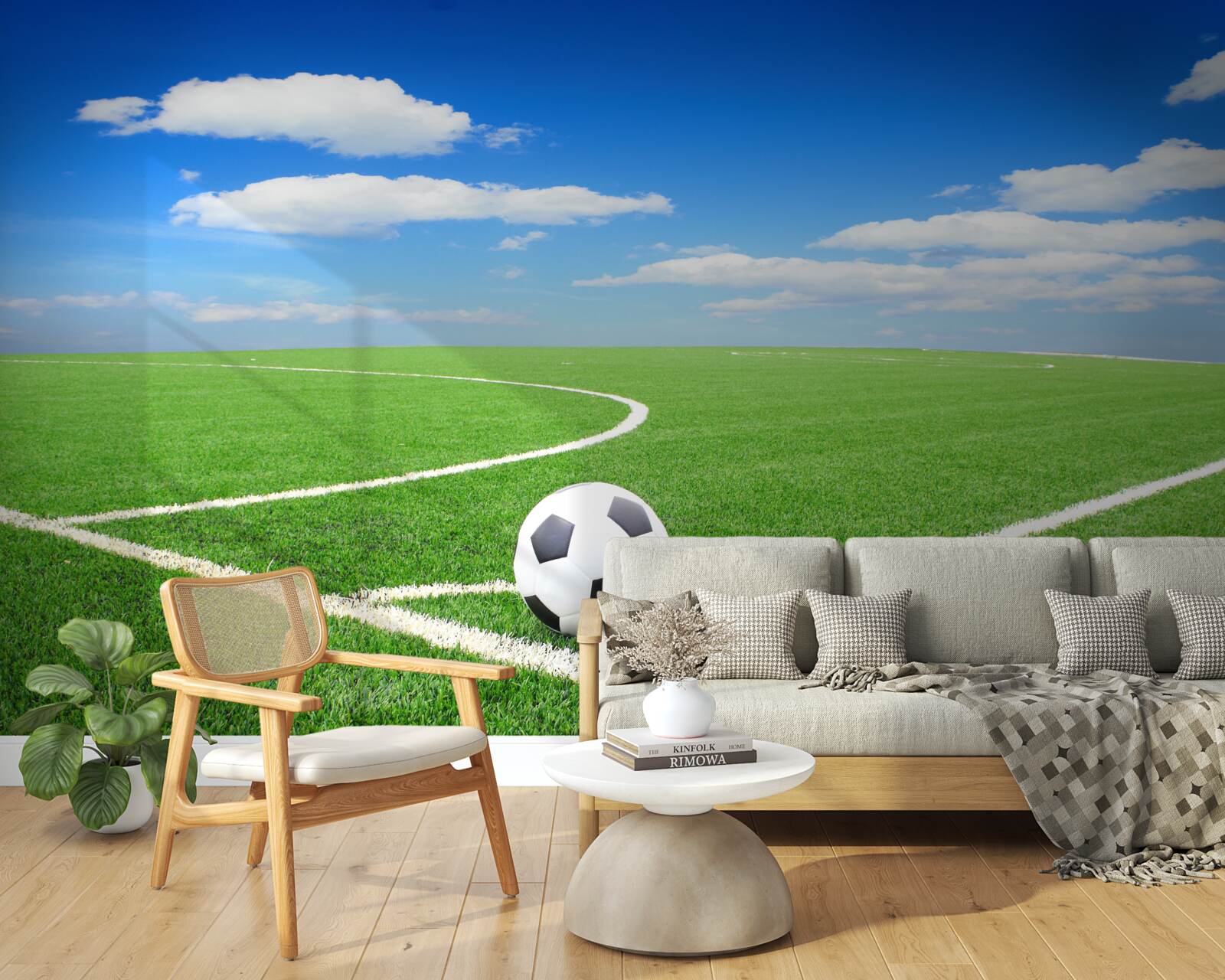 Fototapet mingea este în colțul terenului