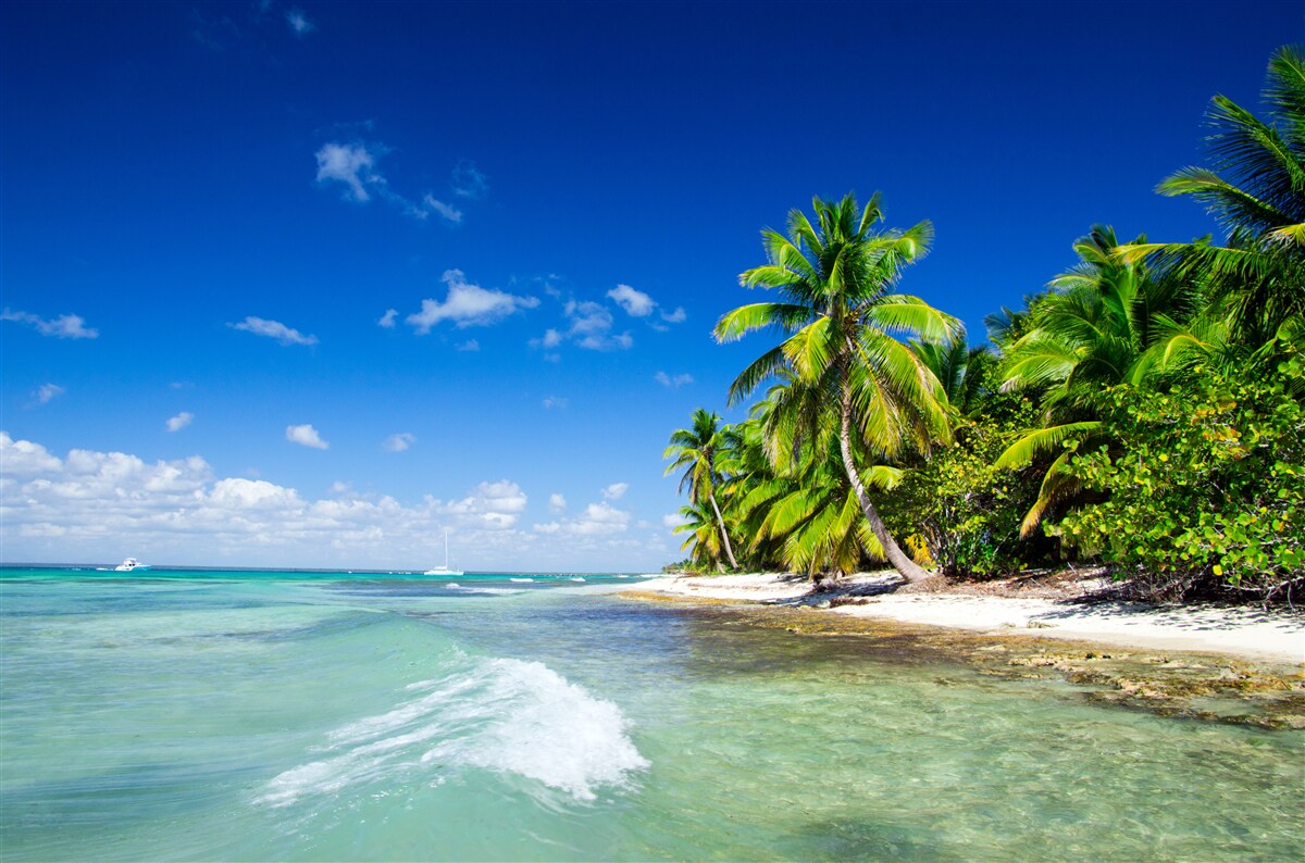 Fototapet valuri de mare pe o coastă tropicală