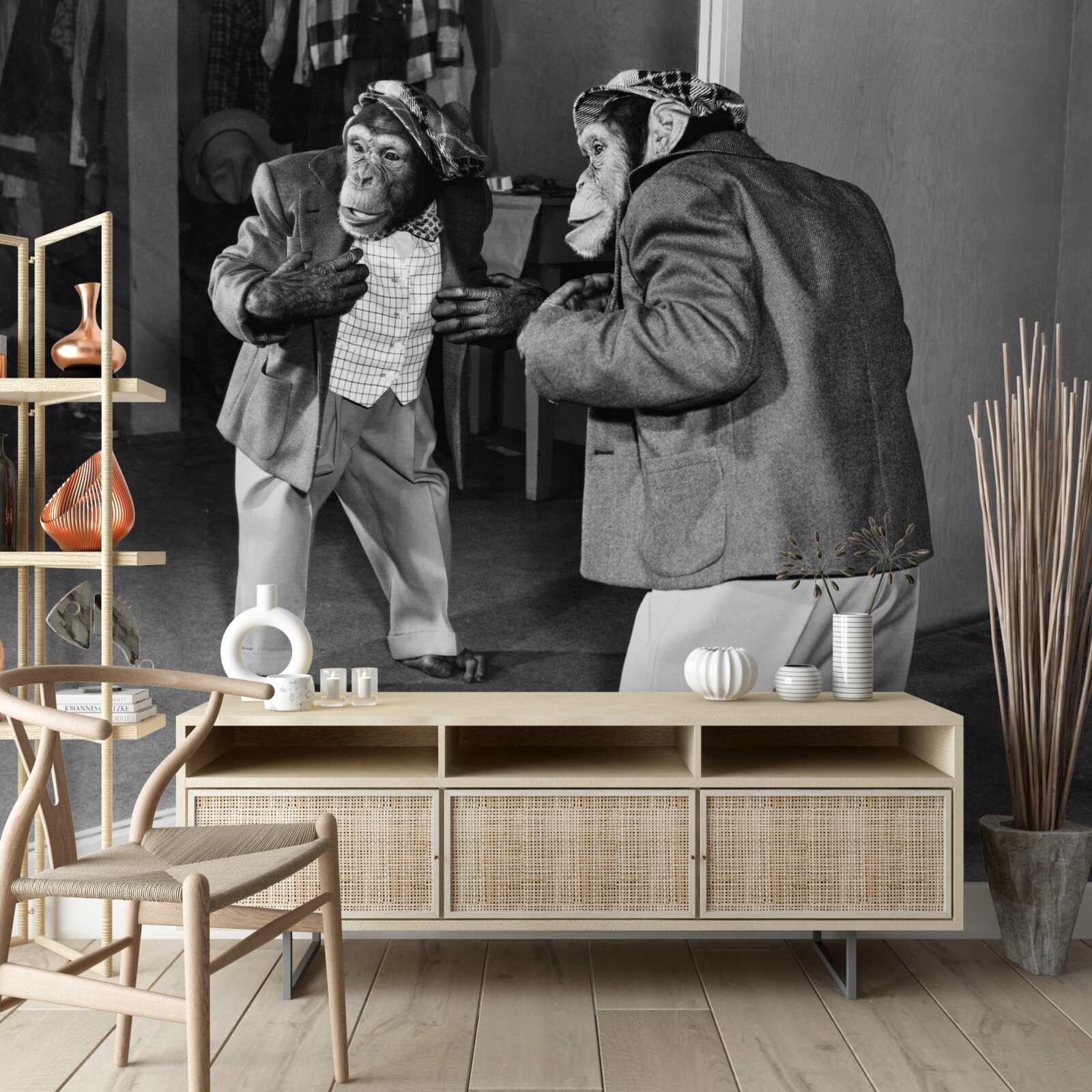 Fototapet maimuță în haine care se uită în oglindă