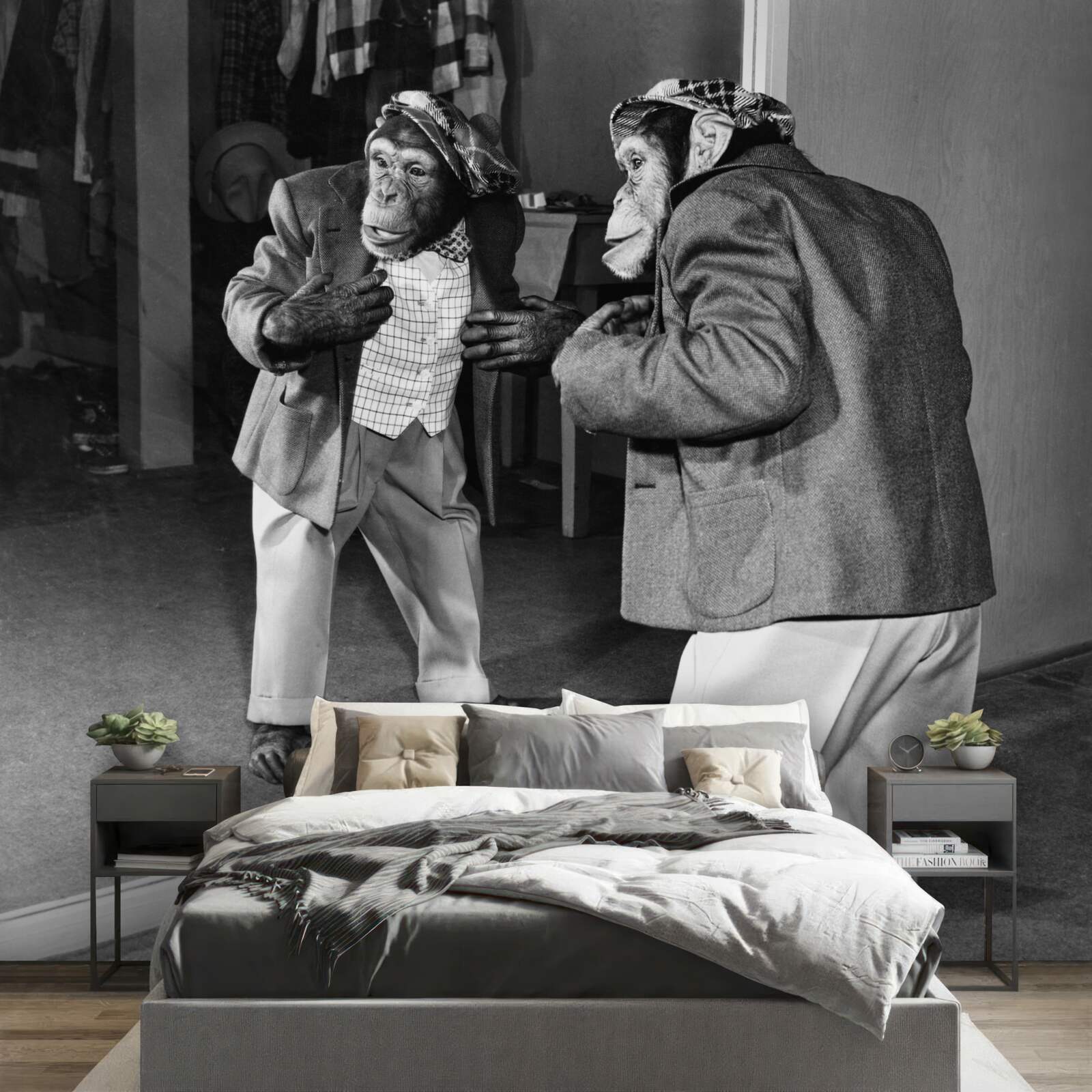 Fototapet maimuță în haine care se uită în oglindă